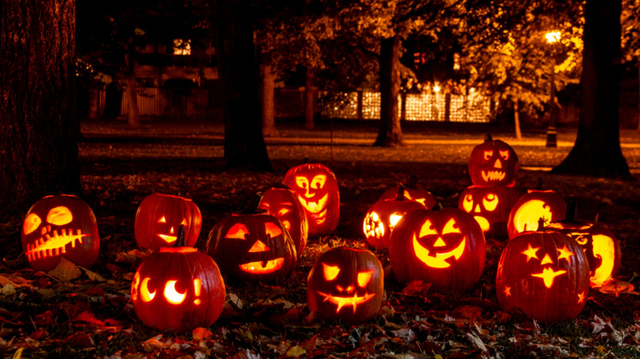 Your Biggest Questions About Halloween, Answered
