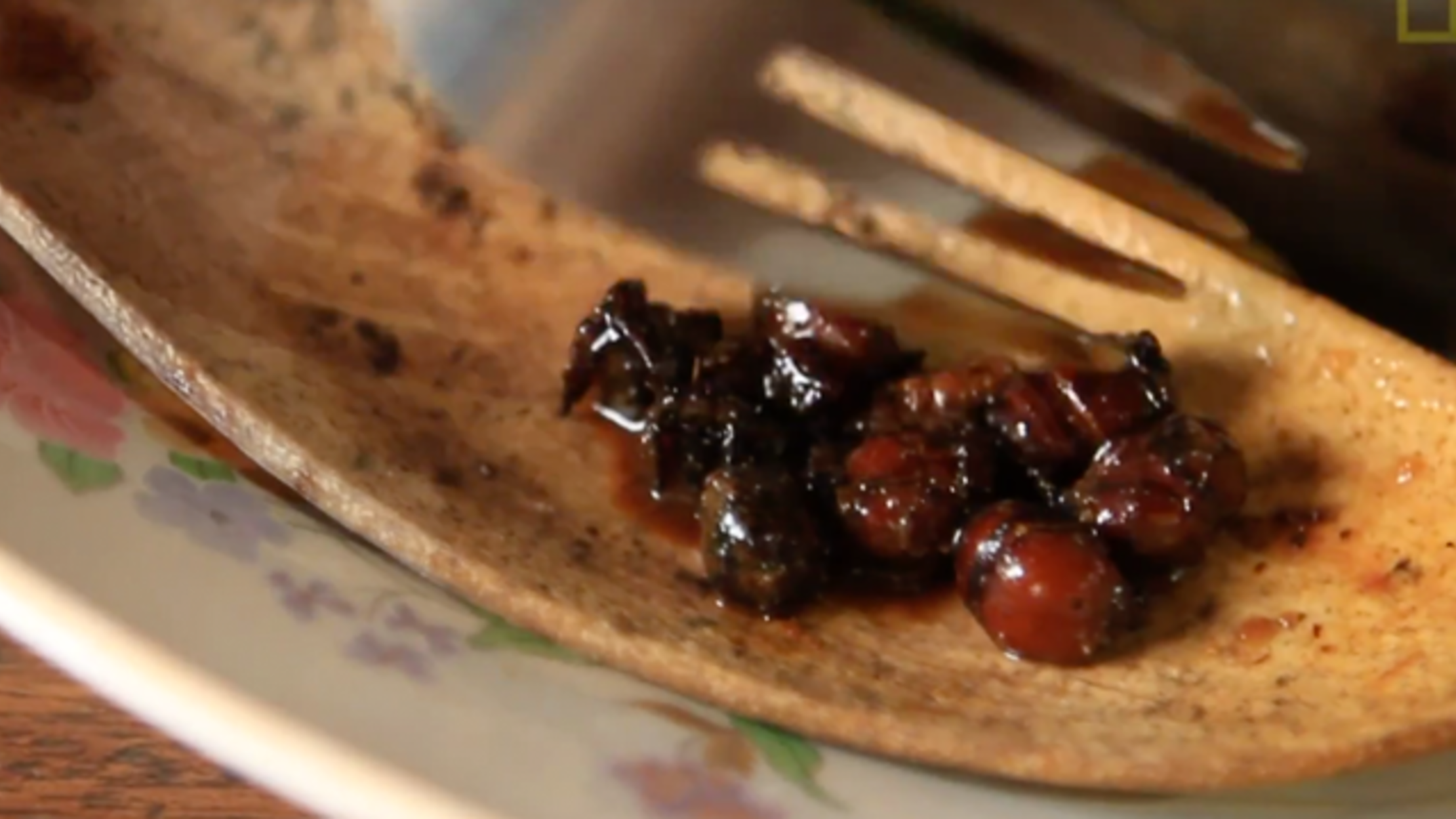 Feeling Adventurous? Try This AntAndTermite Hot Sauce Mental Floss