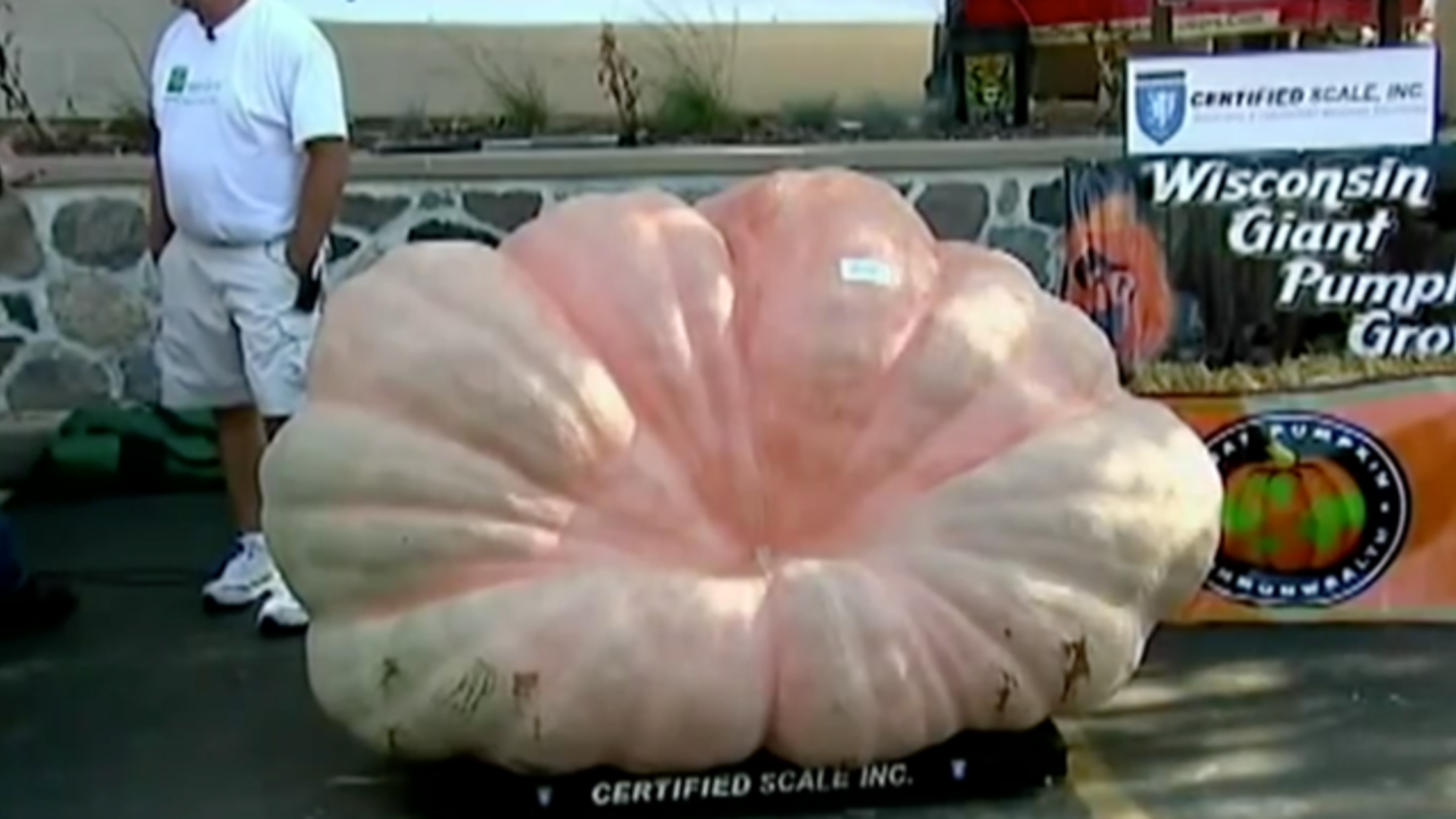 Illinois Man Grows the Largest Pumpkin in North America Mental Floss