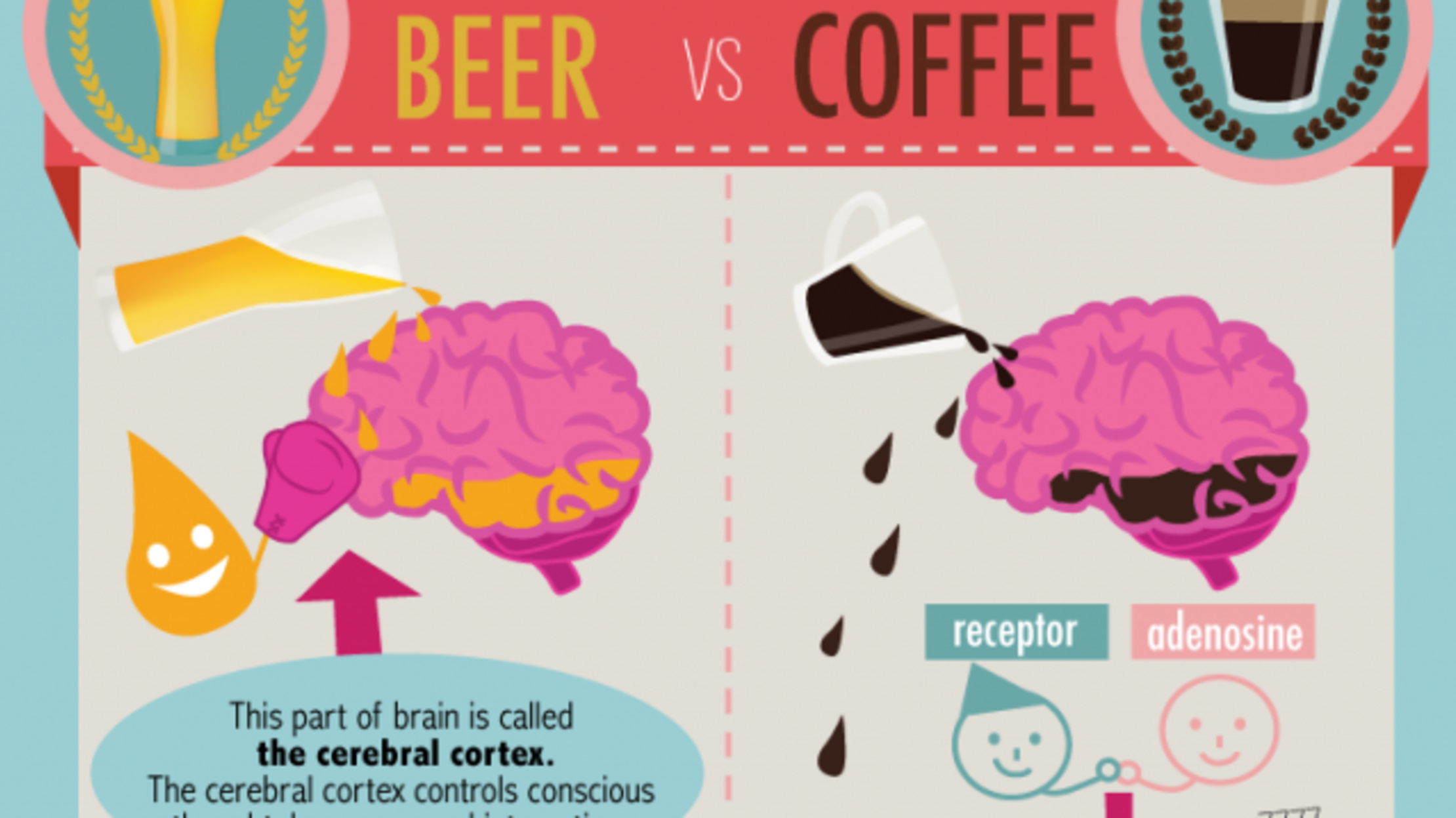 Your Brain On Coffee vs. Your Brain On Beer Mental Floss
