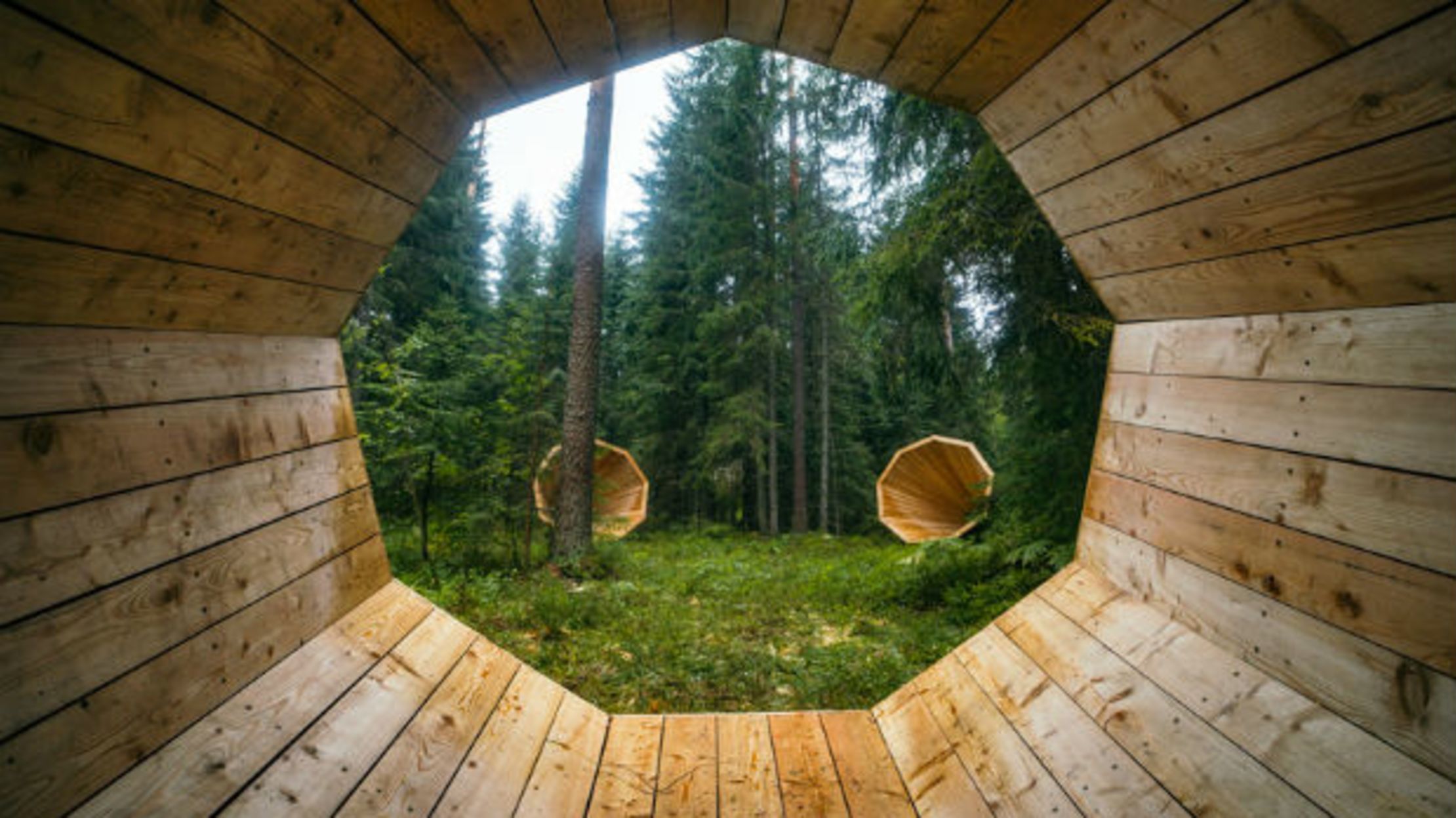 Giant Megaphones Built In Estonian Forest Amplify the Sounds of Nature