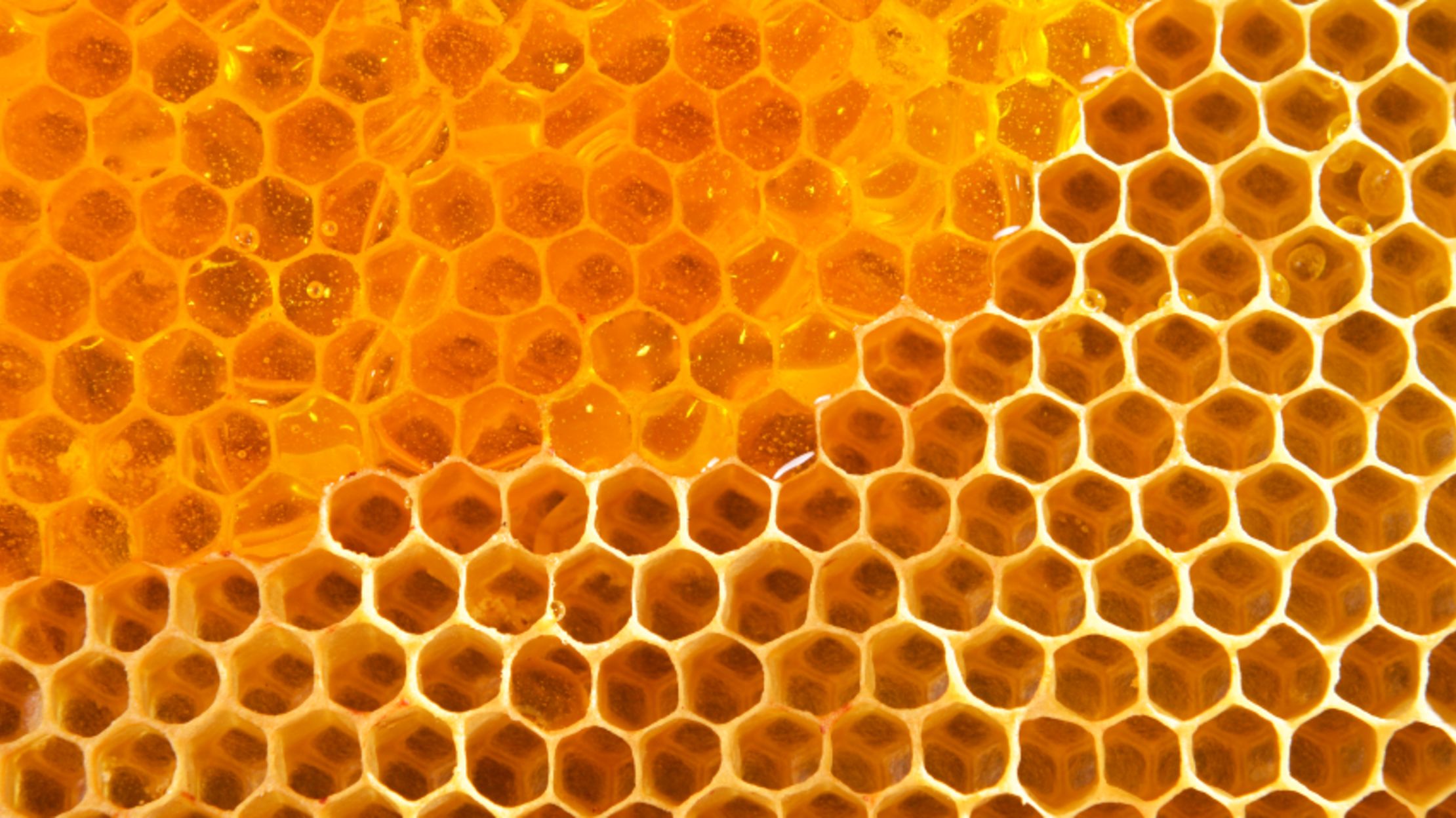 15 Honey Facts Worth Buzzing About Mental Floss
