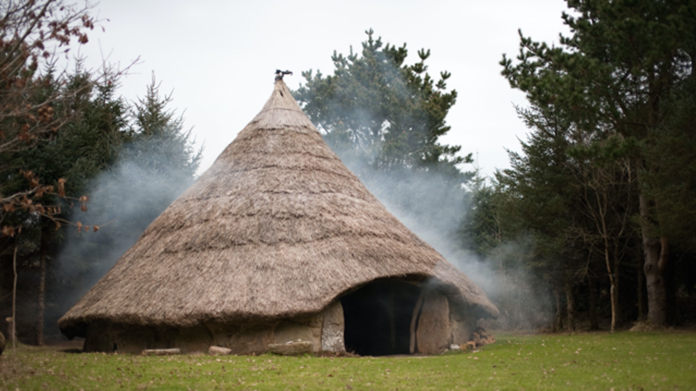 sleep like a celtic chief in a replica iron age roundhouse