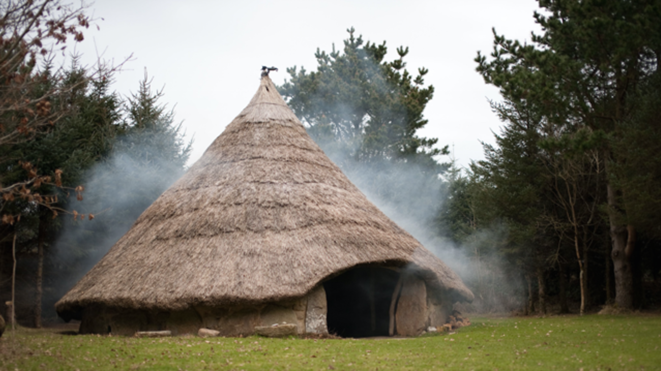 Sleep Like A Celtic Chief In A Replica Iron Age Roundhouse