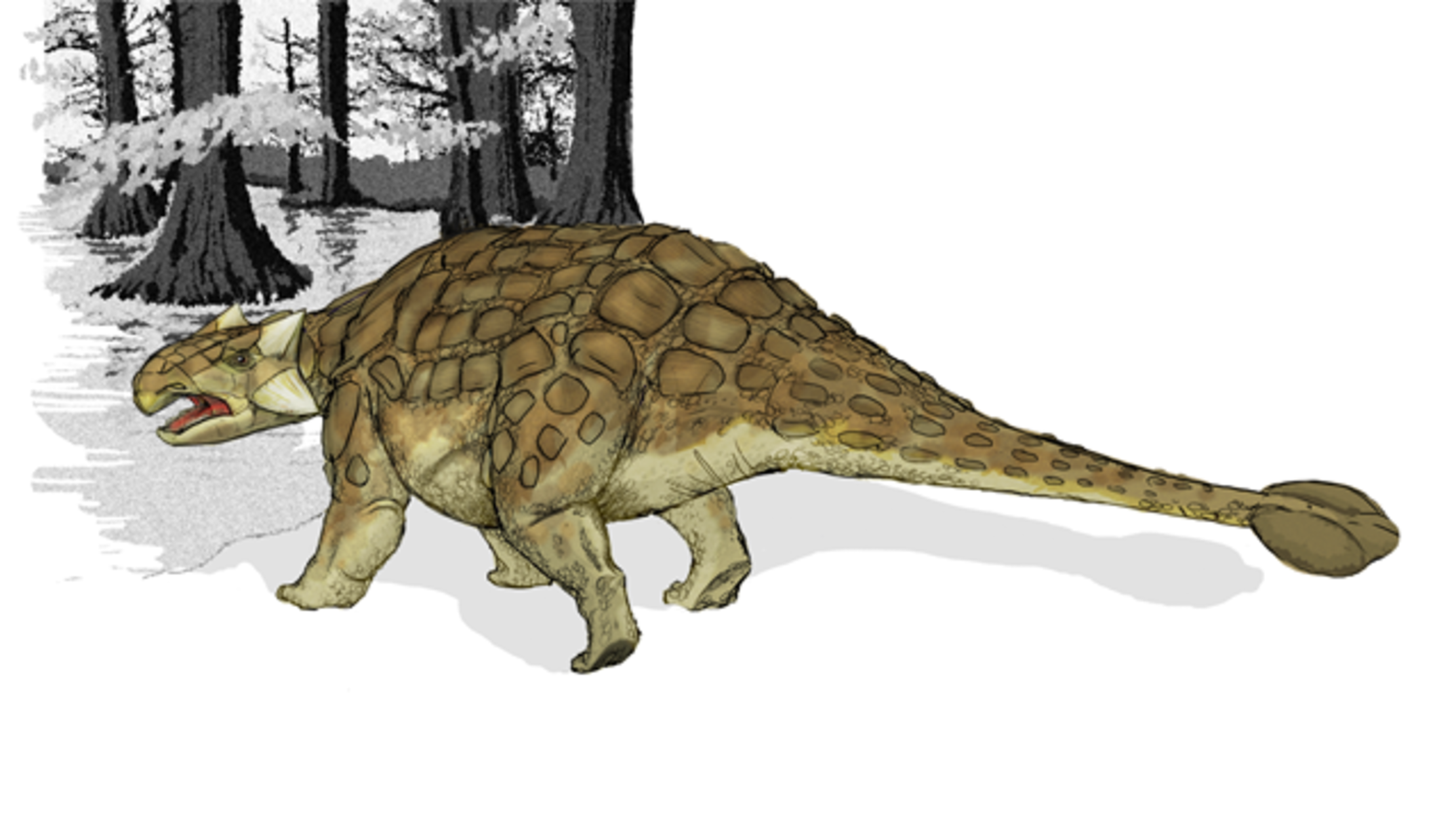 How the Club-Tailed Dinosaurs Got Their Clubs | Mental Floss