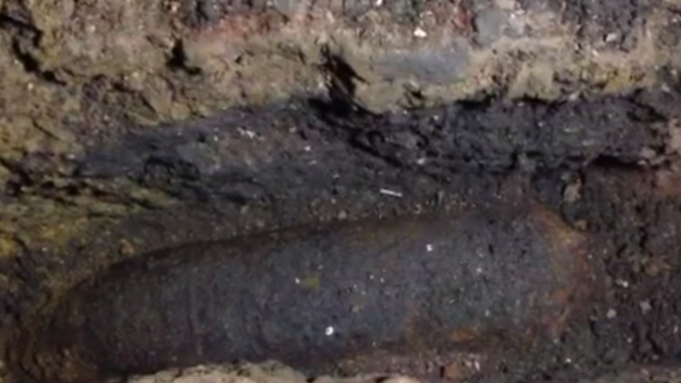 Unexploded WWII Bomb Discovered In East London Mental Floss unexploded-wwii-bomb-discovered-in-east-london-mental-floss