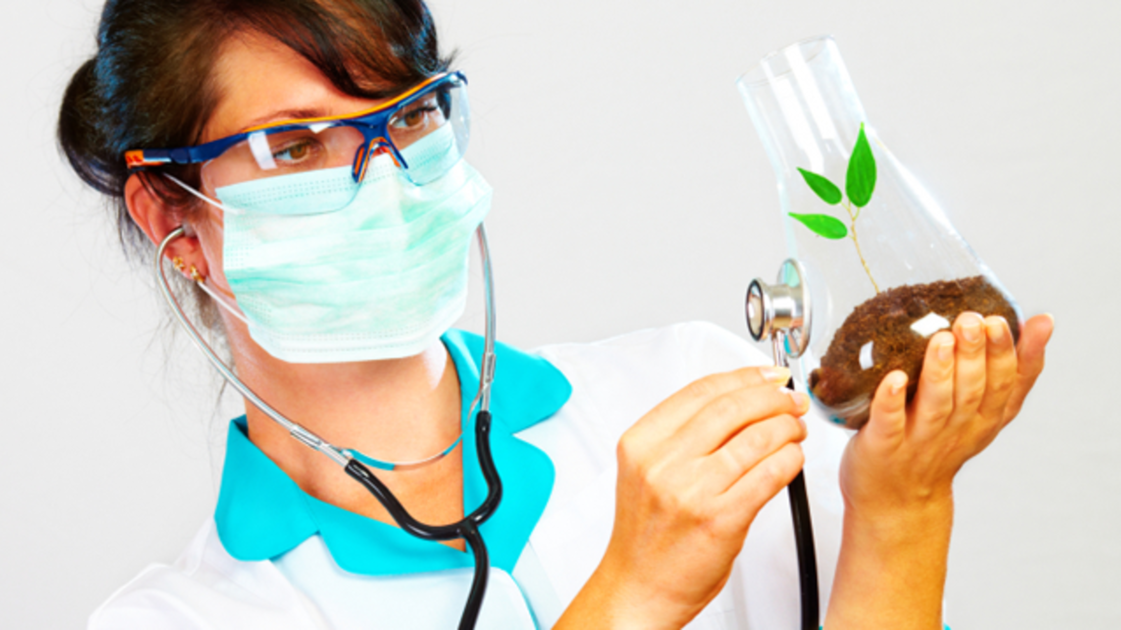 Can Plants Get Cancer? Mental Floss