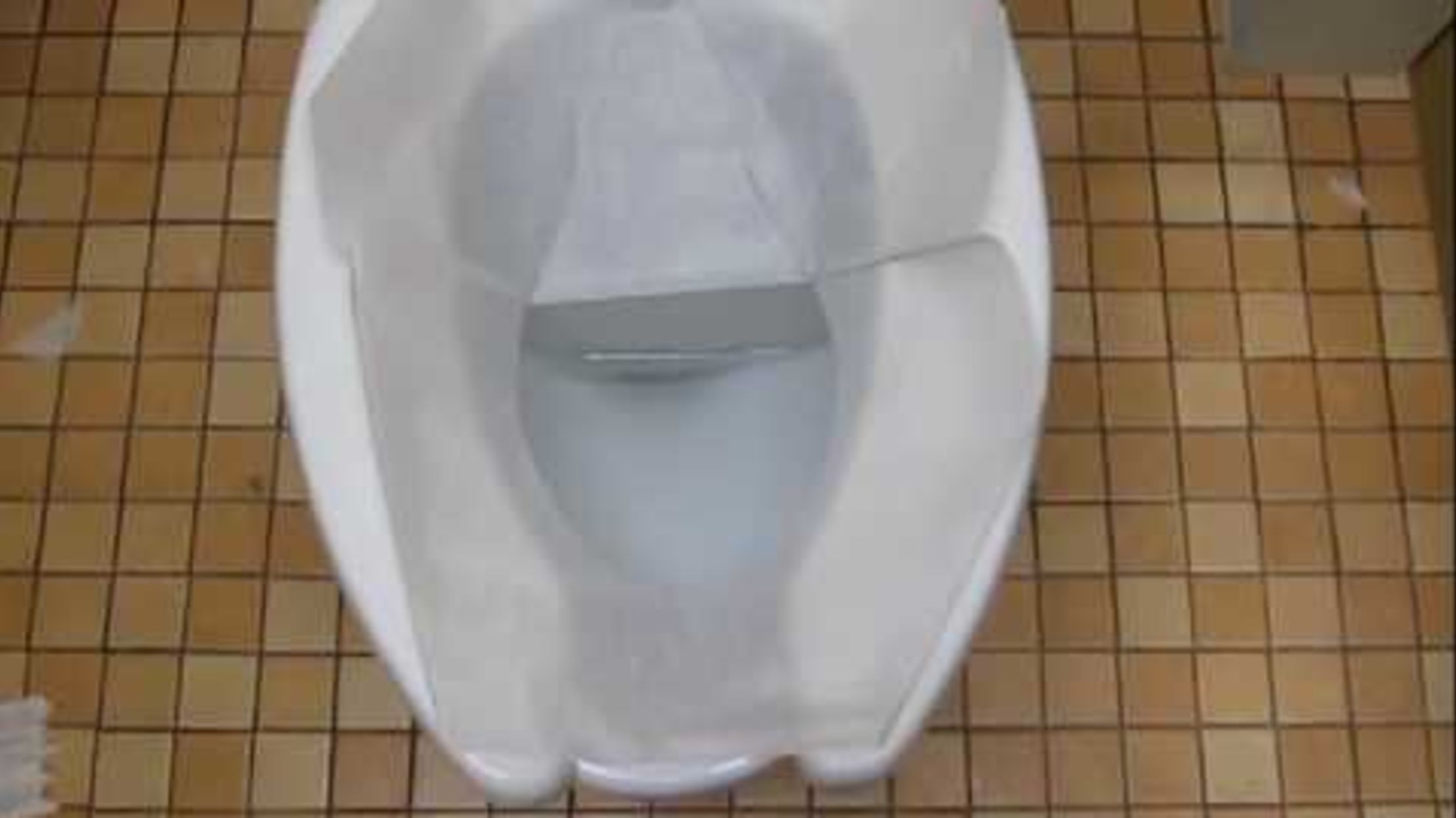 latrine seat