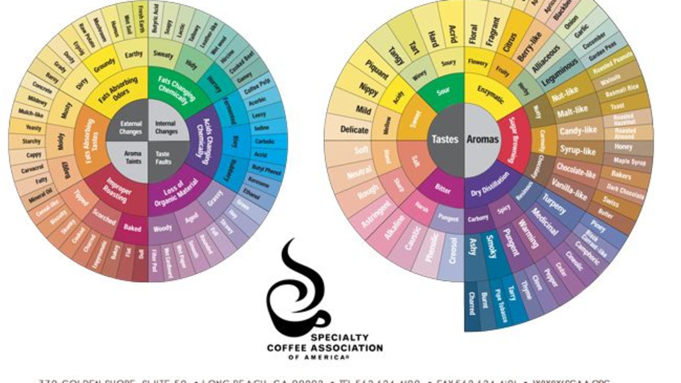 172 Words to Describe Coffee From the Official Taster's ...