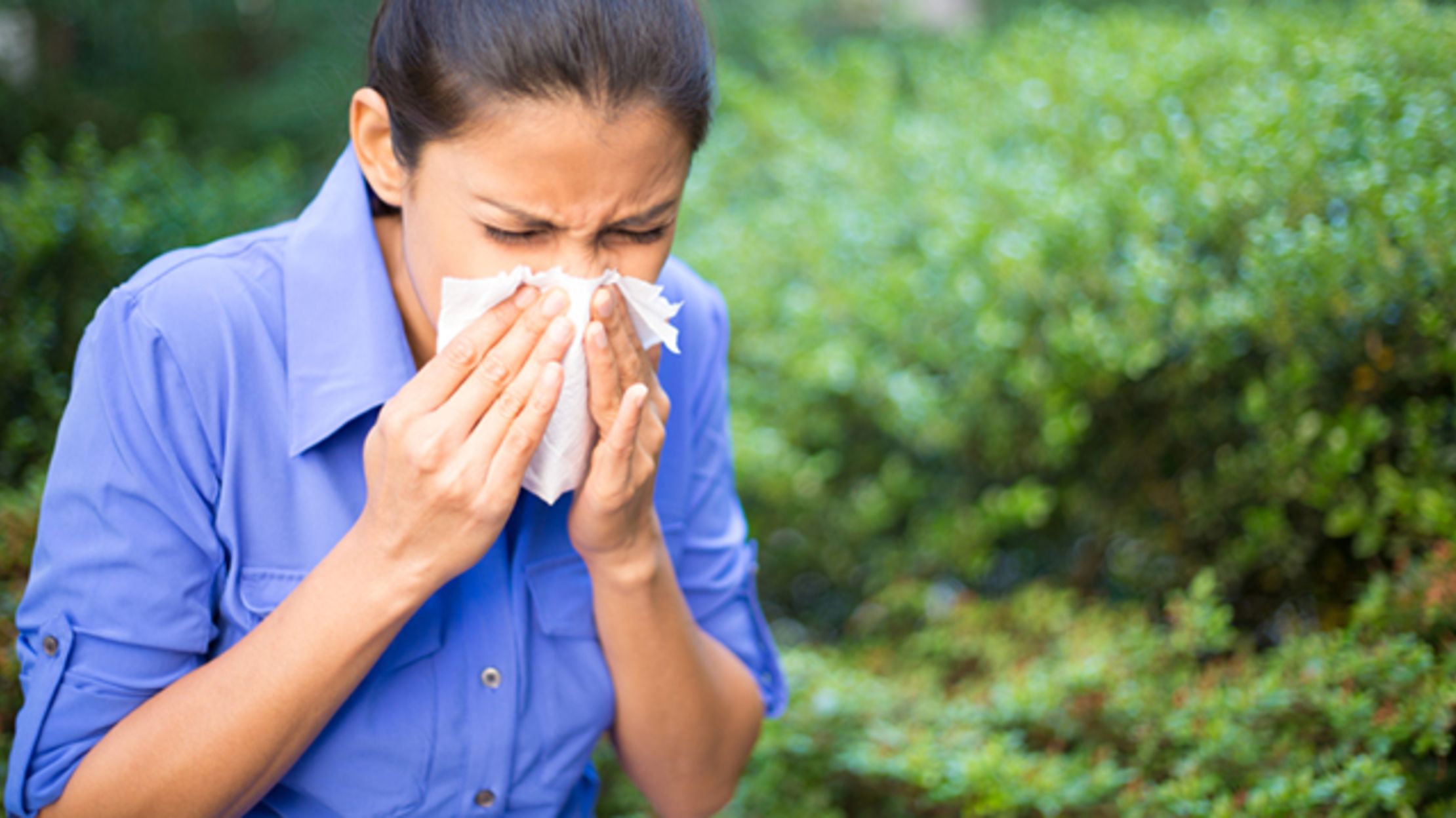 6 Responses to Sneezes From Around the World Mental Floss
