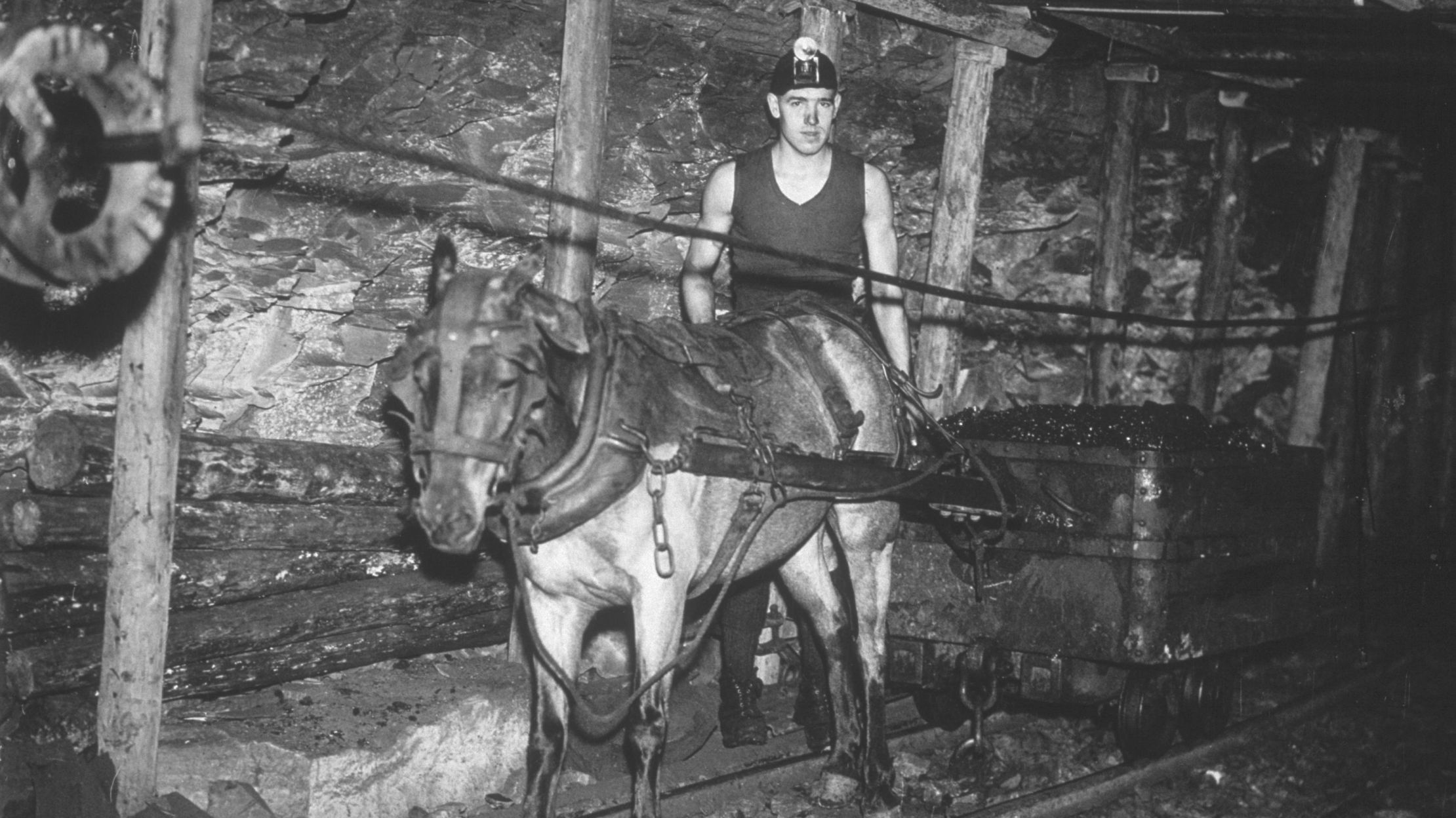 How Pit Ponies Replaced Children In The Coal Mines Mental Floss