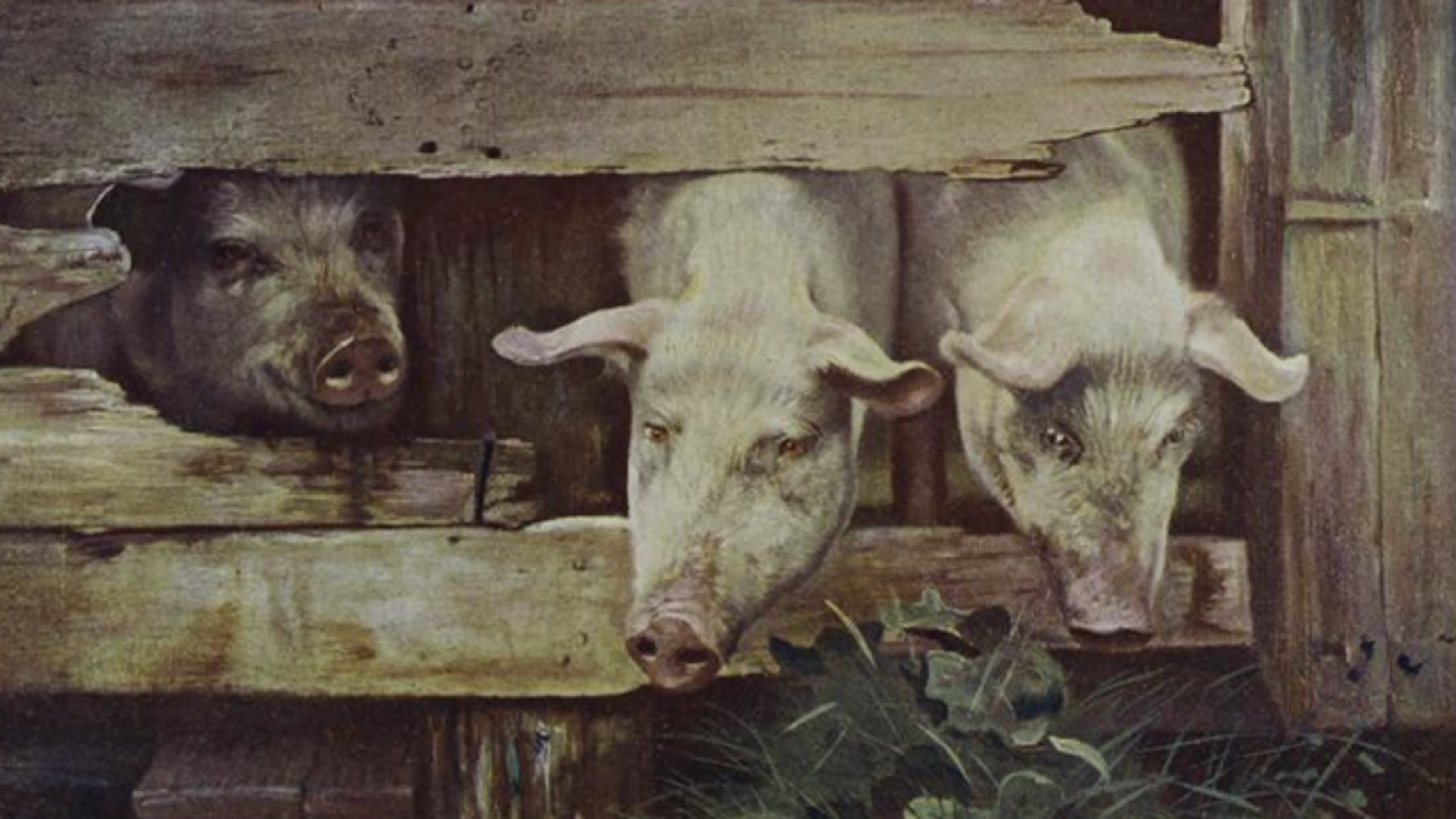 The Rivalry of Brooklyn Neighborhoods Pigtown and Spotless Town Mental Floss