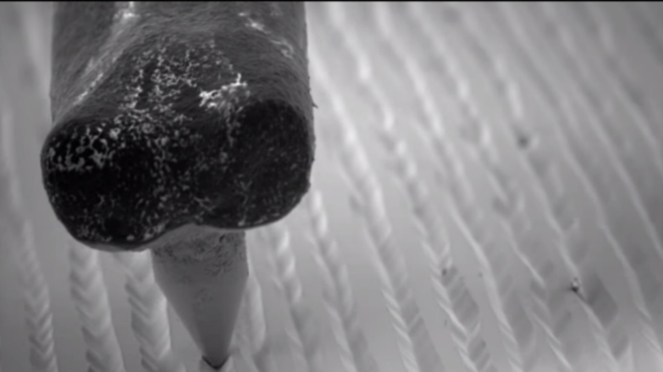 What Playing a Vinyl Record Looks Like Under a Microscope Mental Floss