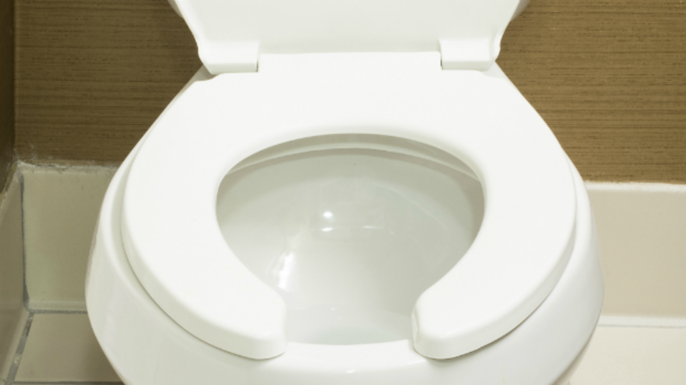 toilet lid seat