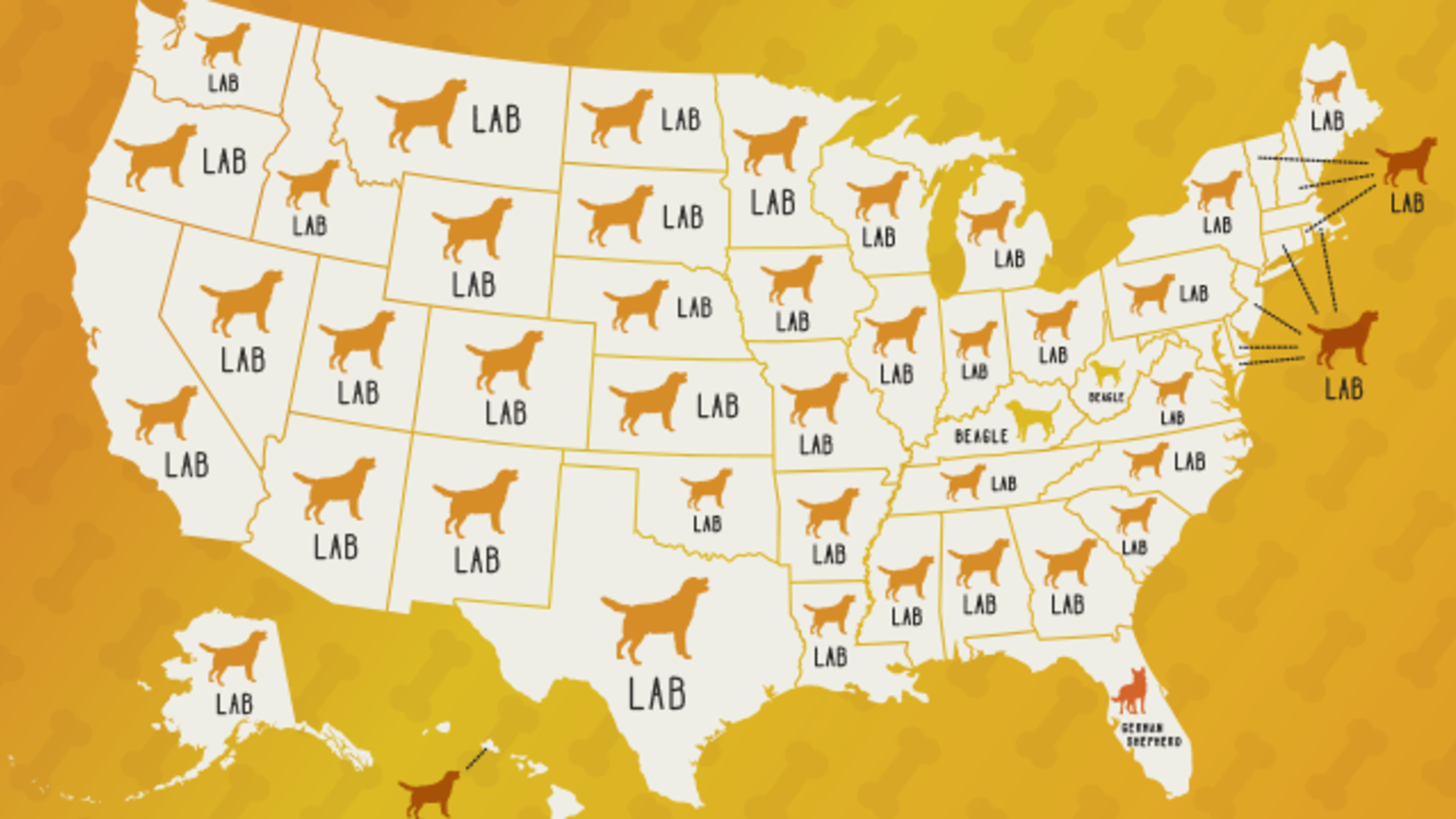 The Most Popular Dog Breeds in Each State Mental Floss