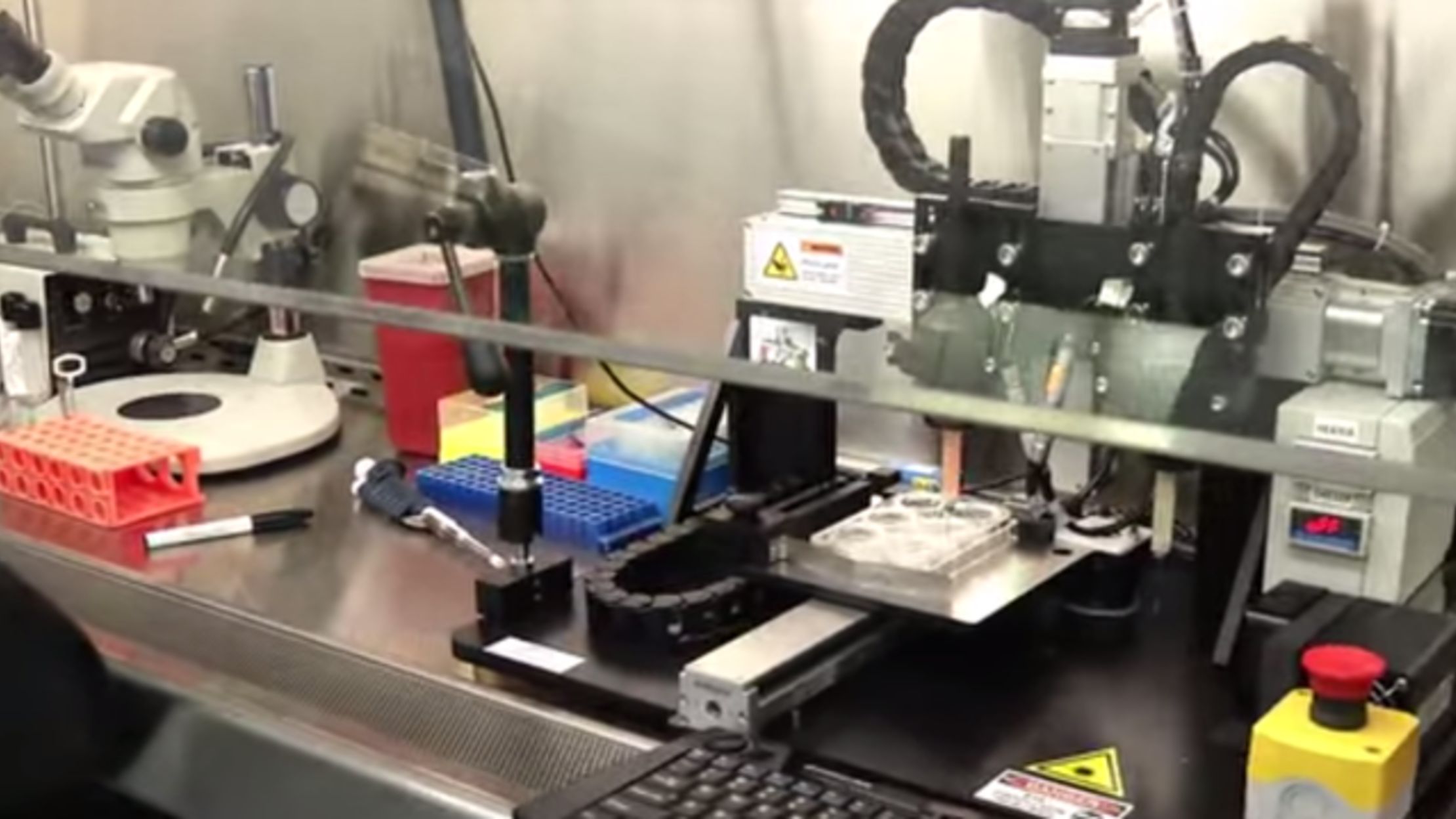 How L'Oréal Is Working to Destroy Animal Testing Mental Floss