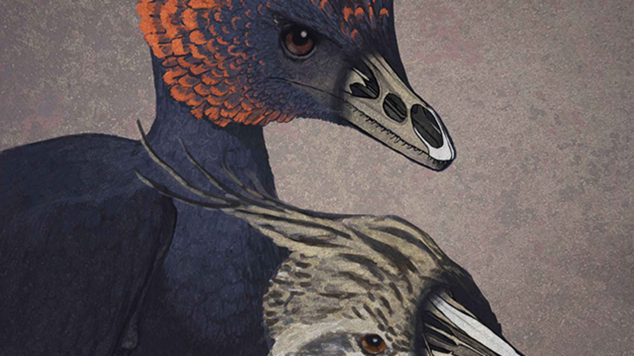 Scientists Revert Bird Beaks Into Dinosaur Snouts Mental Floss