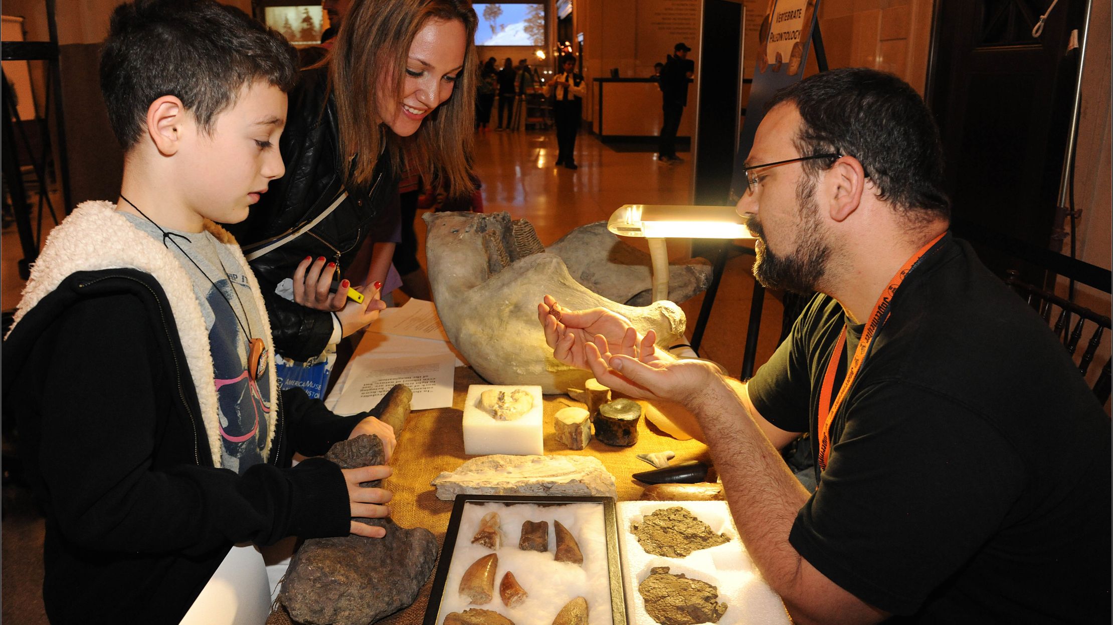 5 Awesome Things Identified at the American Museum of Natural History's ...