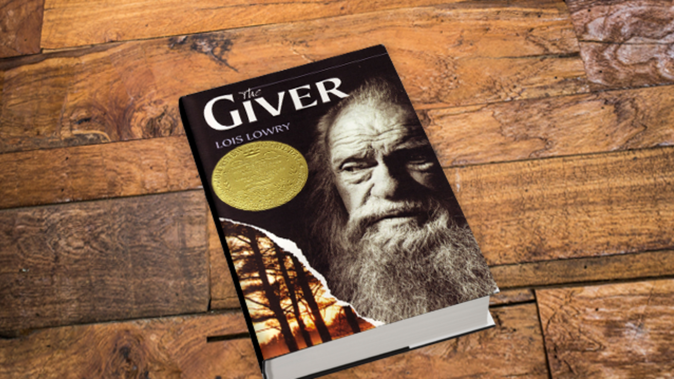 Conformist Community In The Giver