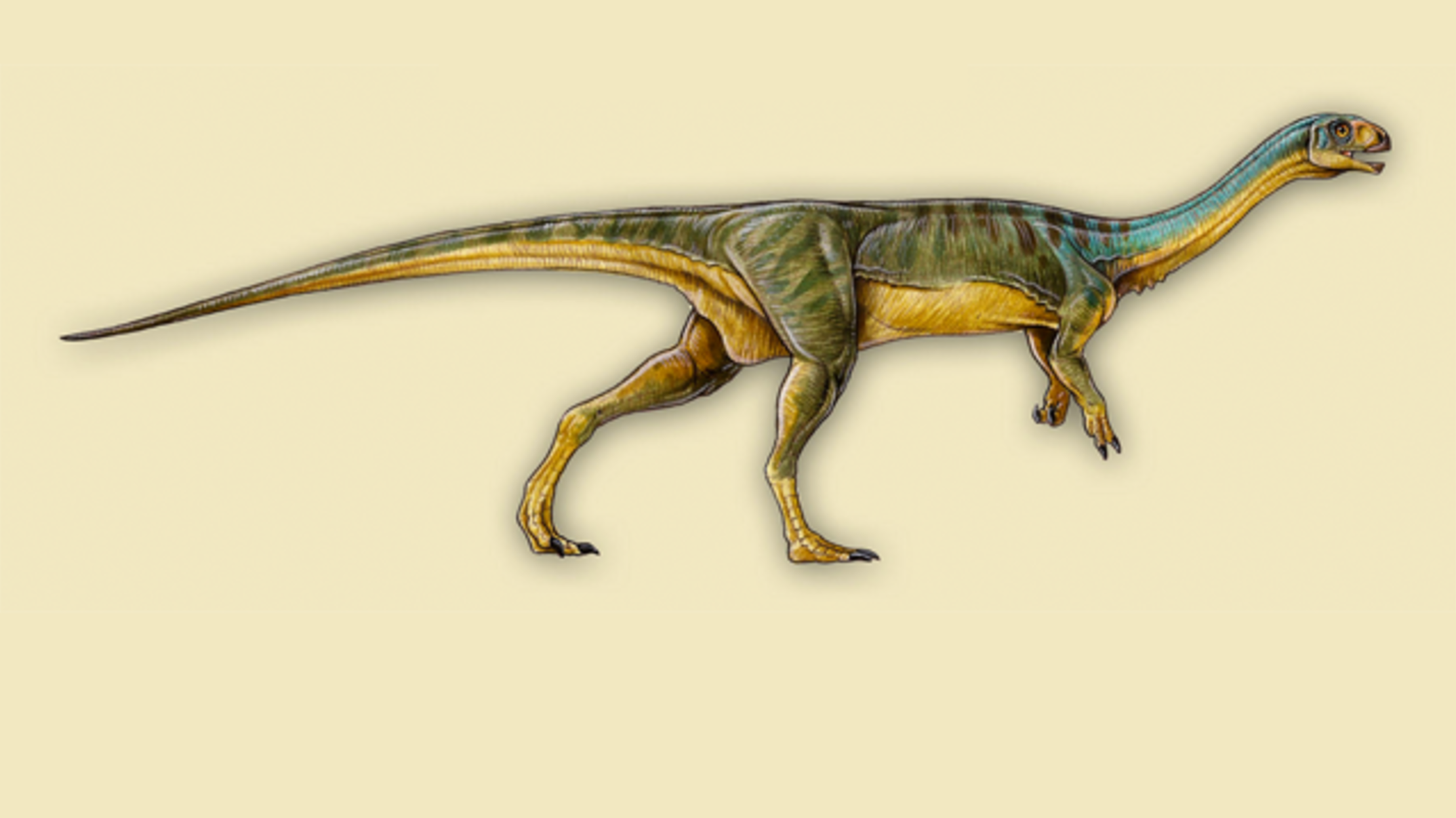 the newest dinosaur discovered