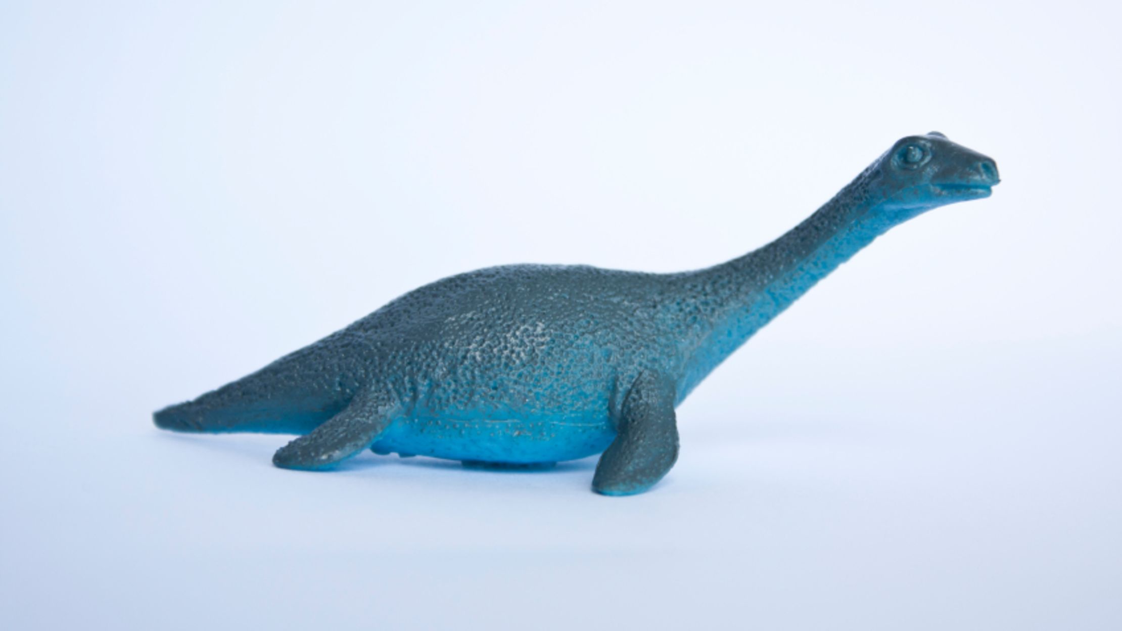 Match the Two Parts of These Odd Facts | Mental Floss