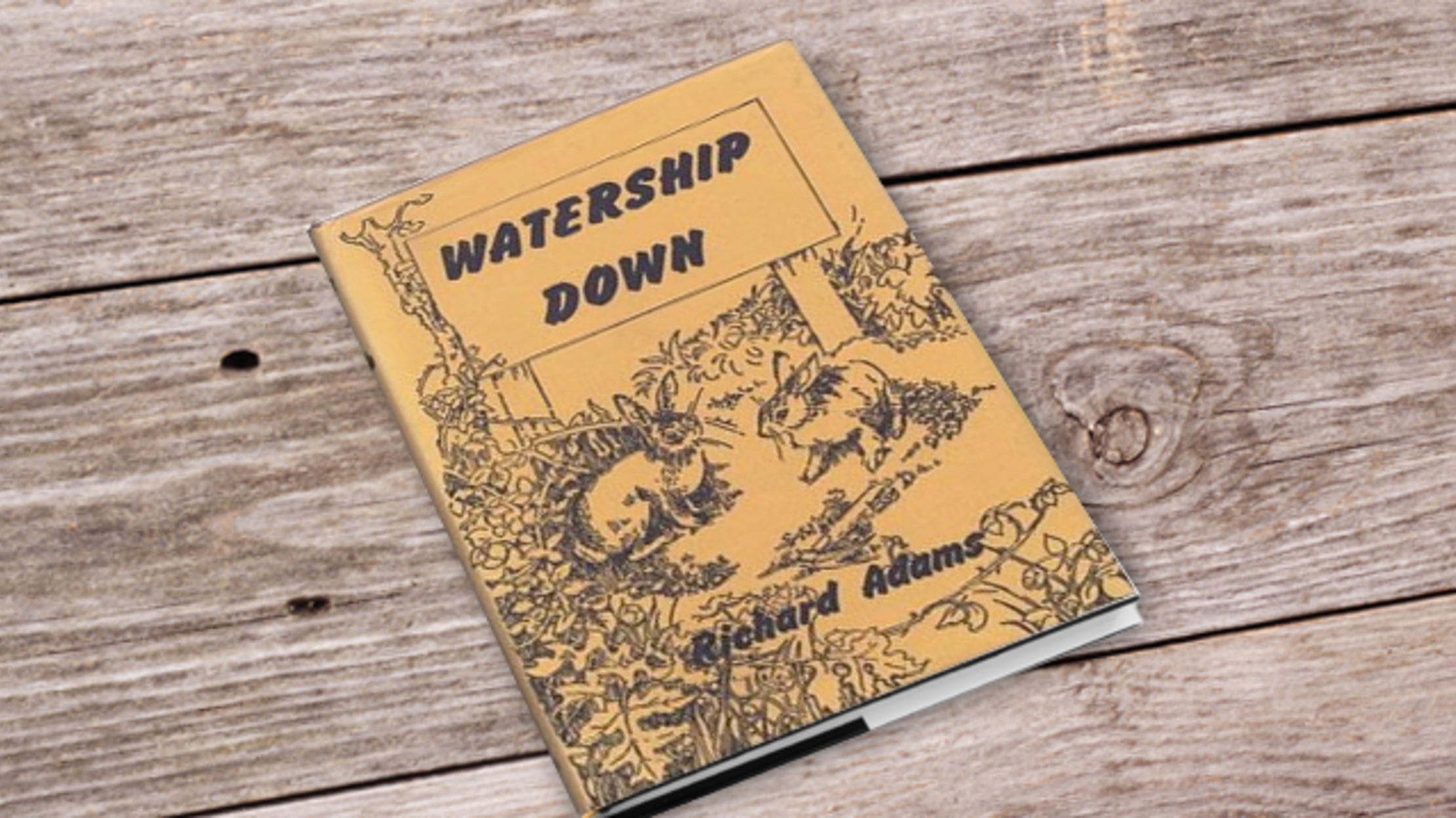 North Wessex Downs - Wikipedia watership down government