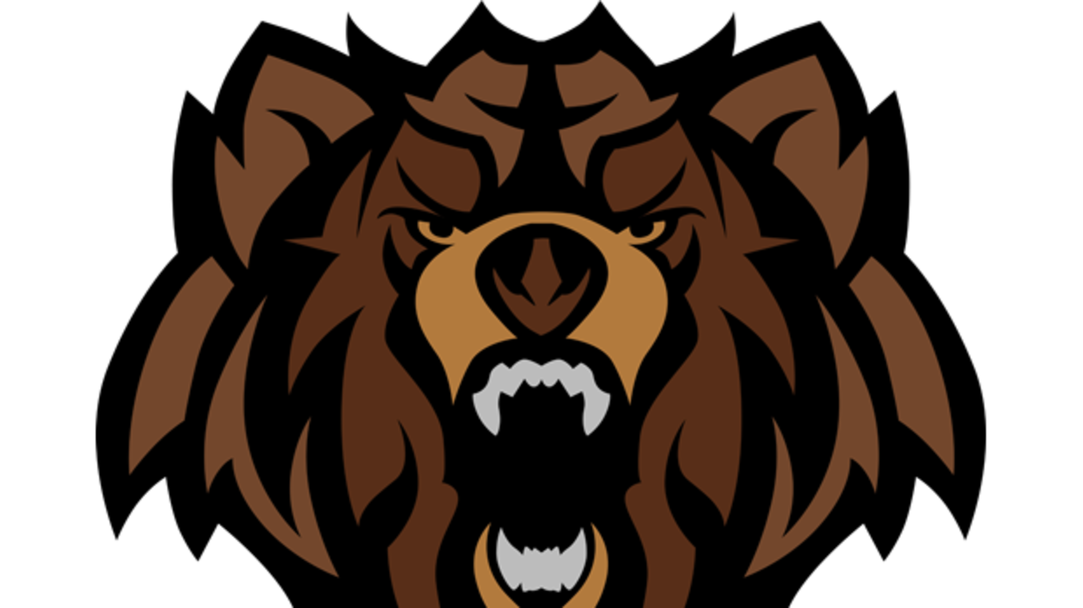 name-the-most-popular-u-s-high-school-team-nicknames-mental-floss
