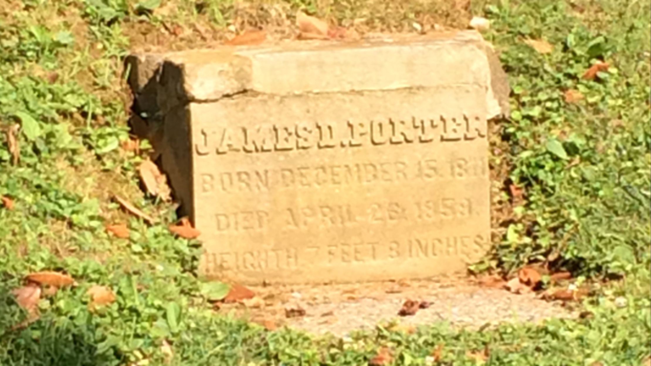 Grave Sightings The Kentucky Giant Mental Floss