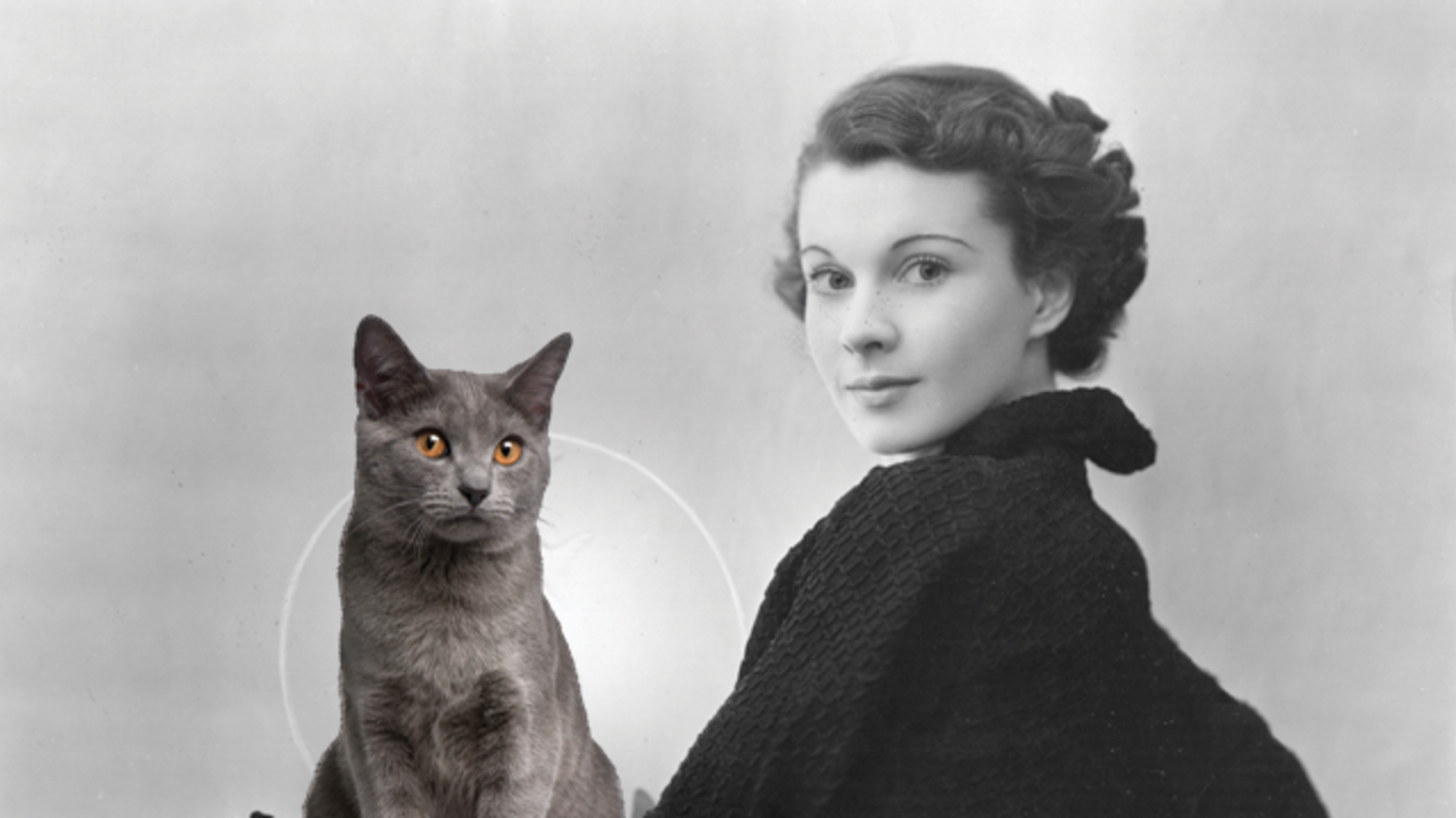 8 of History's Greatest Cat Ladies Mental Floss
