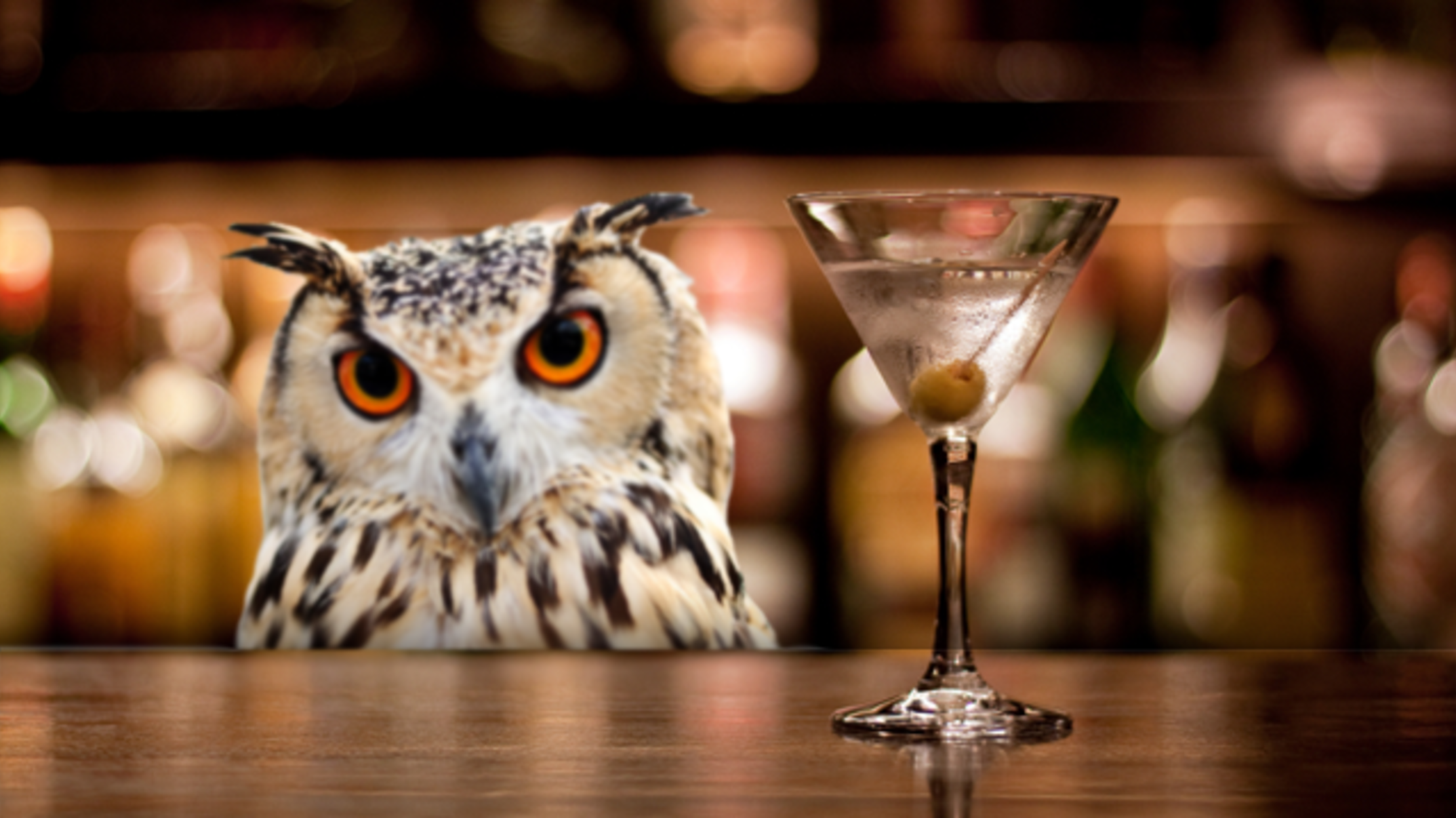 Get Ready To Get Drunk With Some Owls Mental Floss