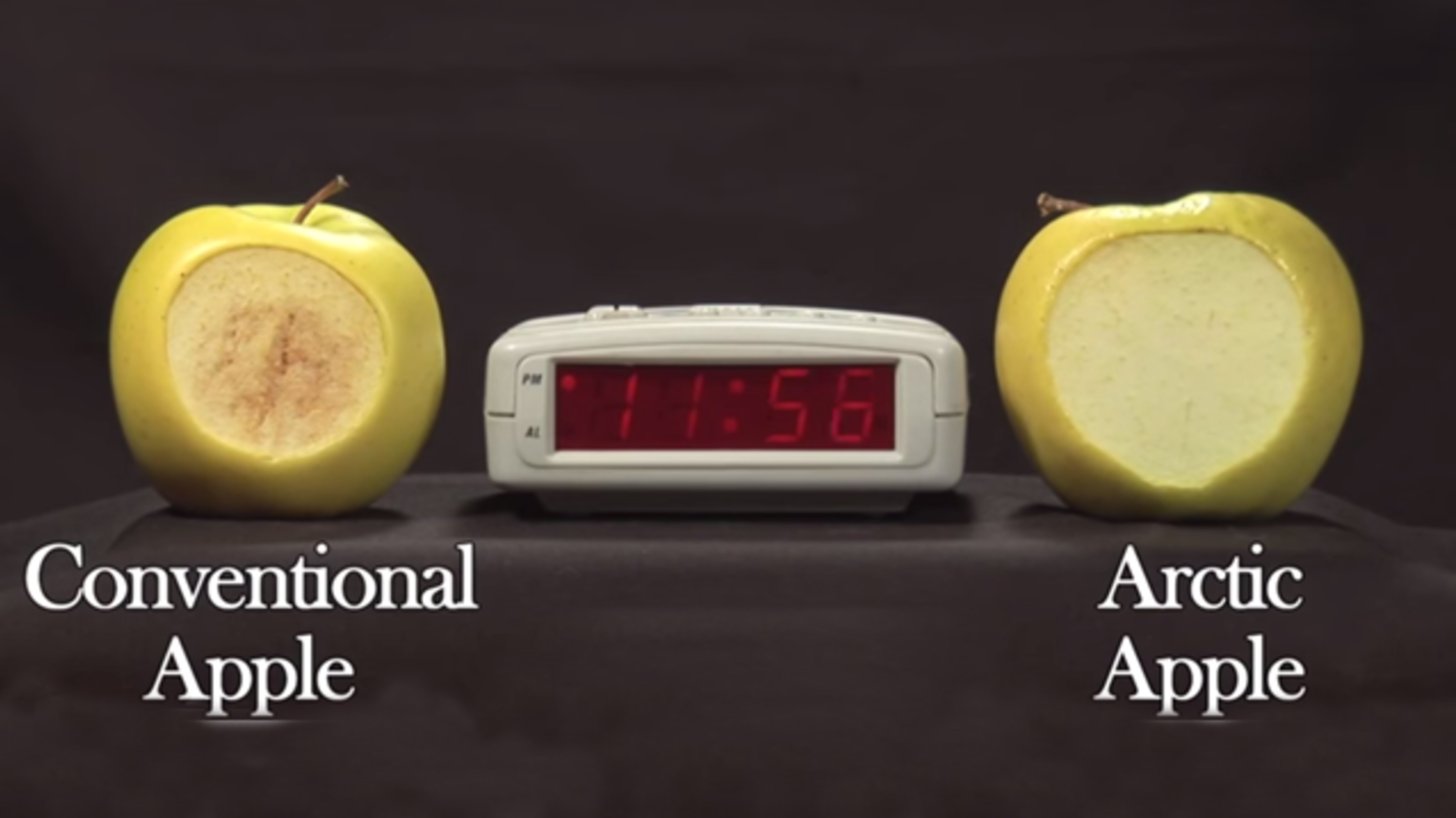 Granny Smith Apple Nutrition Facts Usda Besto Blog