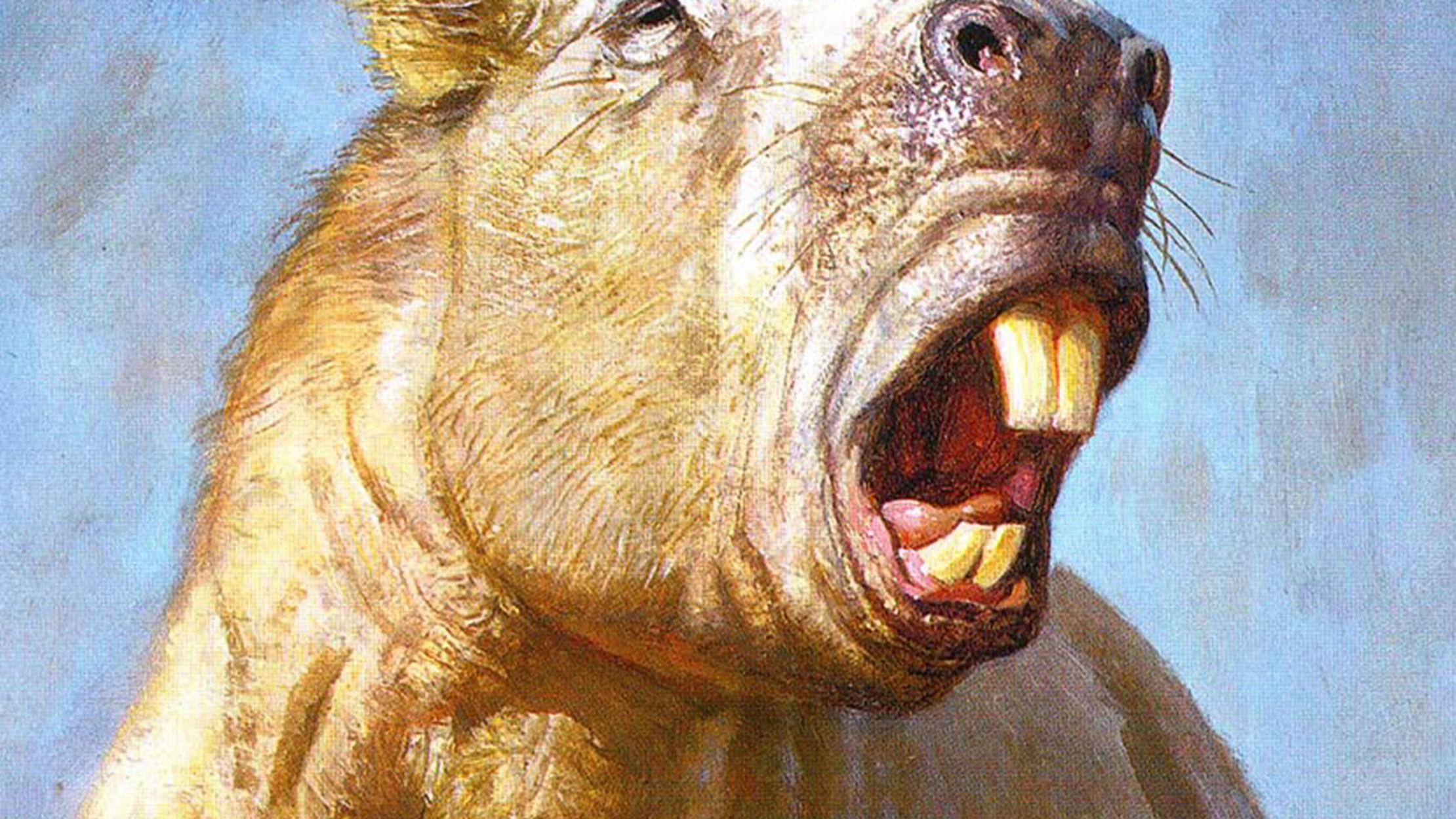 Ancient Guinea Pigs Were Gigantic and Had Tusk-Like Teeth ...