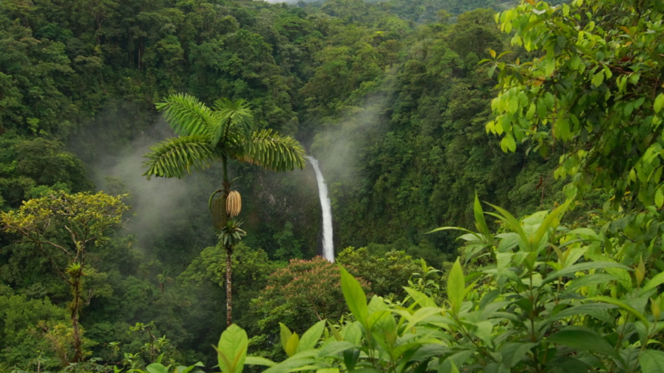 16 Things You Might Not Know About Costa Rica Mental Floss,Espacio Pequeno Decoracion De Living Y Comedor Juntos