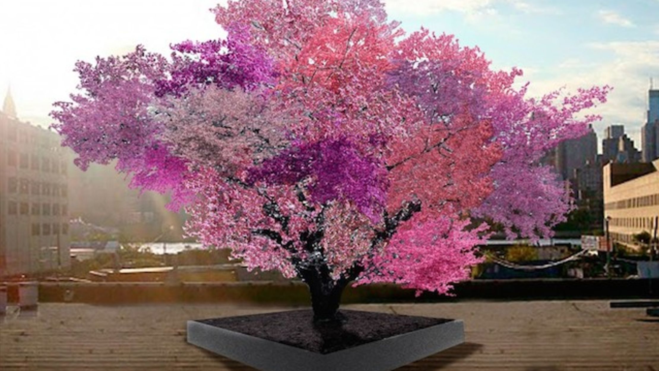 A Tree That Flowers With 40 Different Fruits | Mental Floss