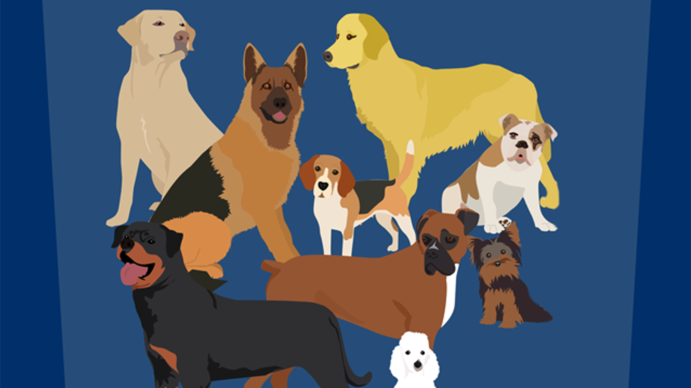 The Most Popular Dogs in America Mental Floss