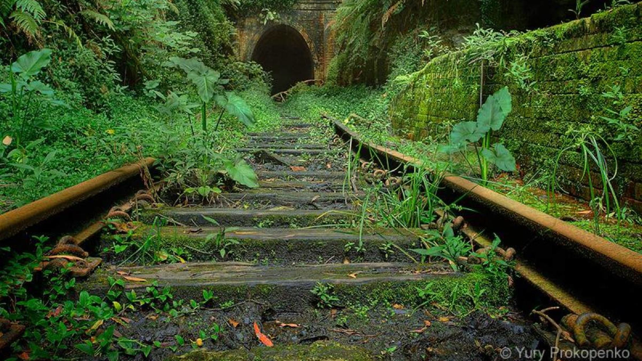 The Missing Links: Nature Takes It Back | Mental Floss