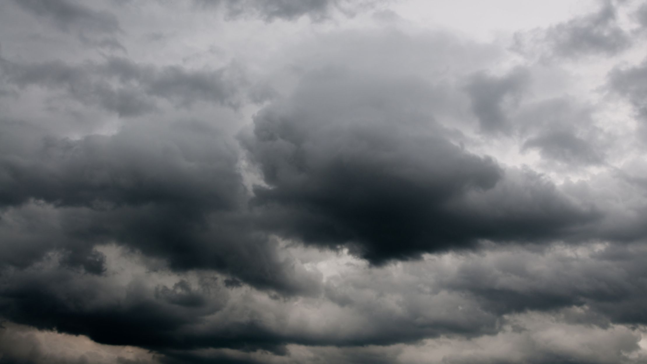 That Time it Rained Flesh in Kentucky Mental Floss