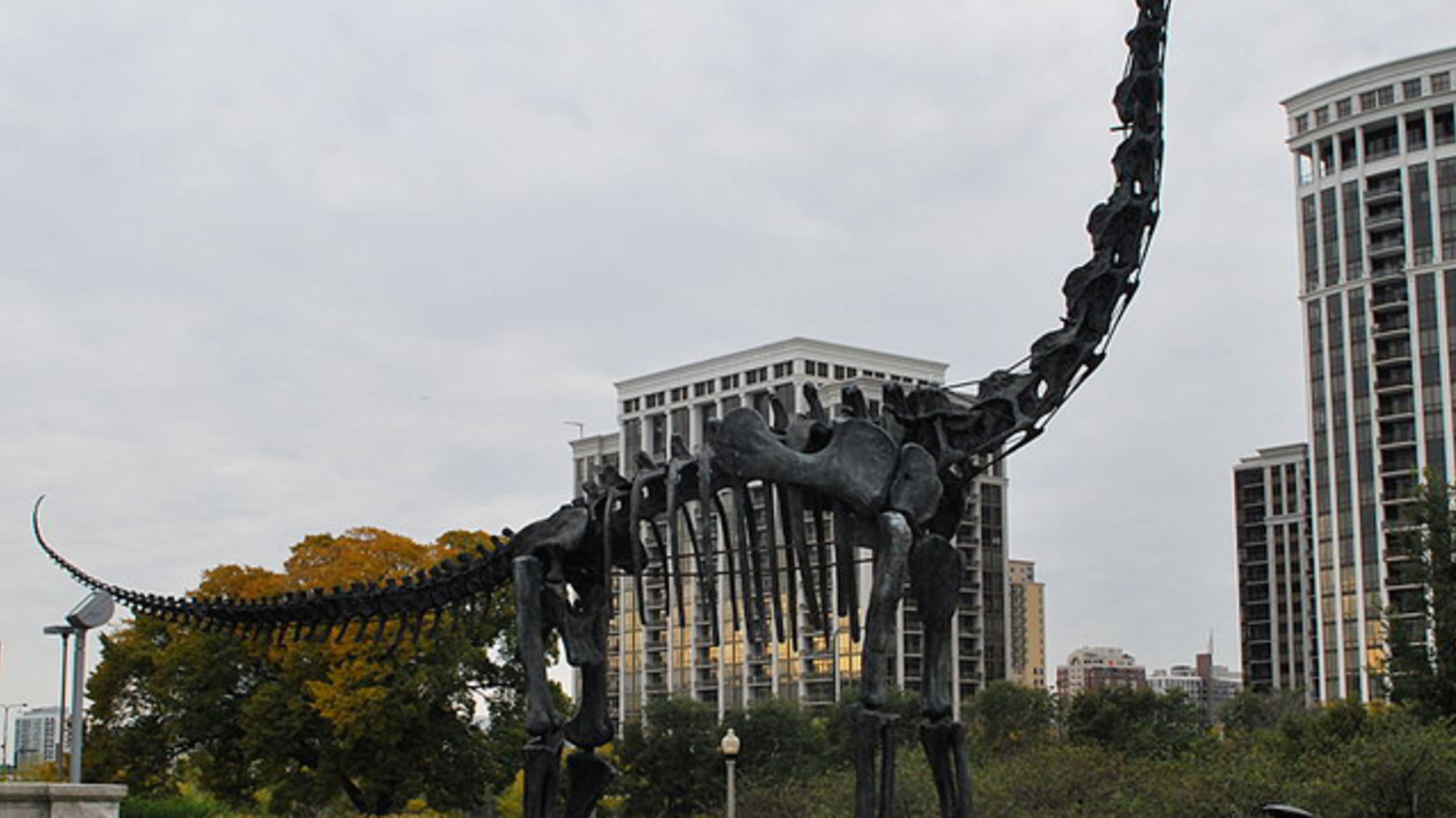 about brachiosaurus