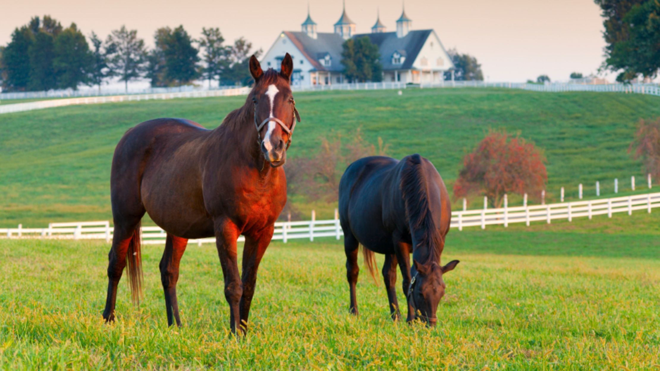 15 Things You Might Not Know About Kentucky Mental Floss