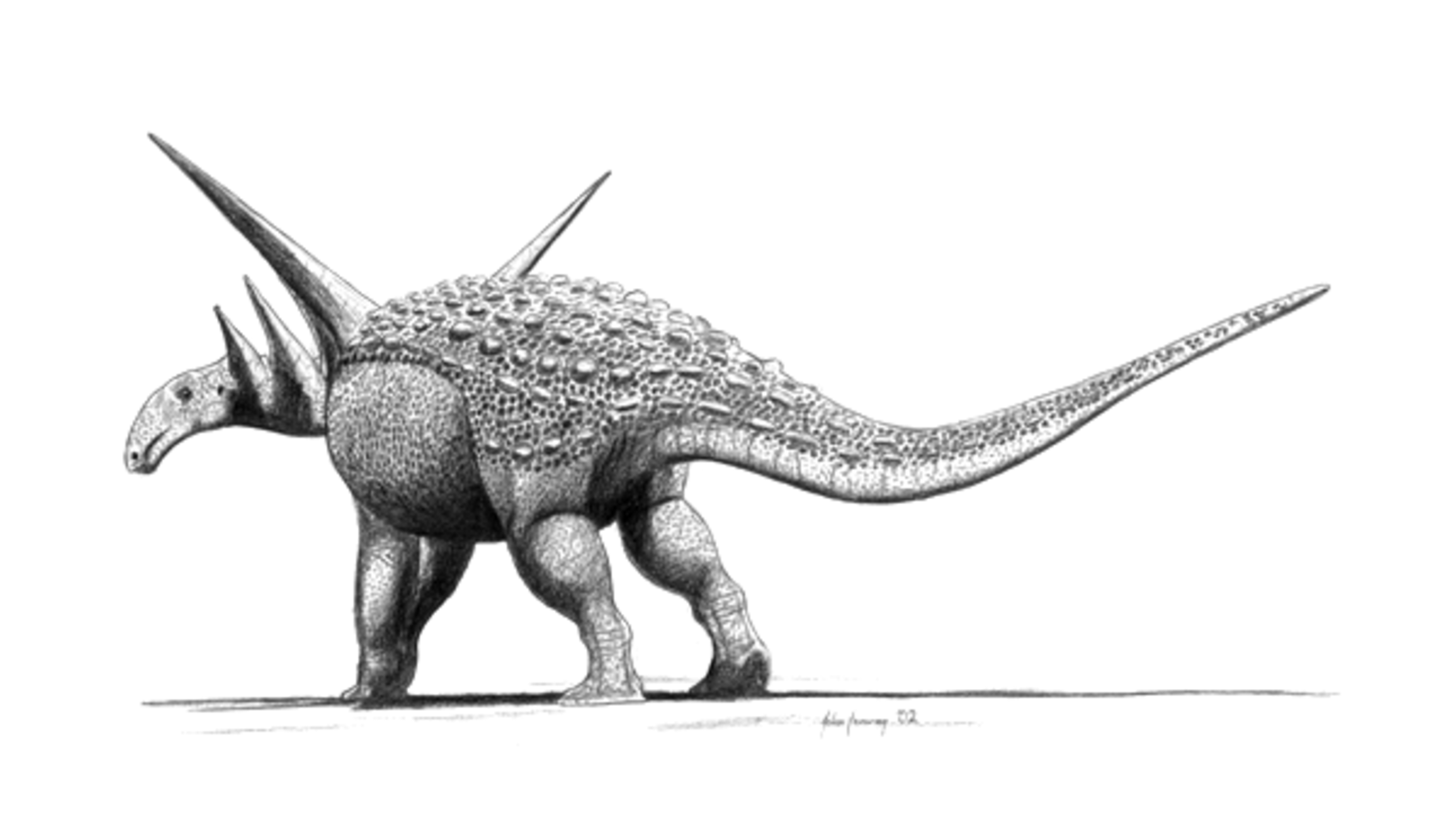 sauropelta fossil