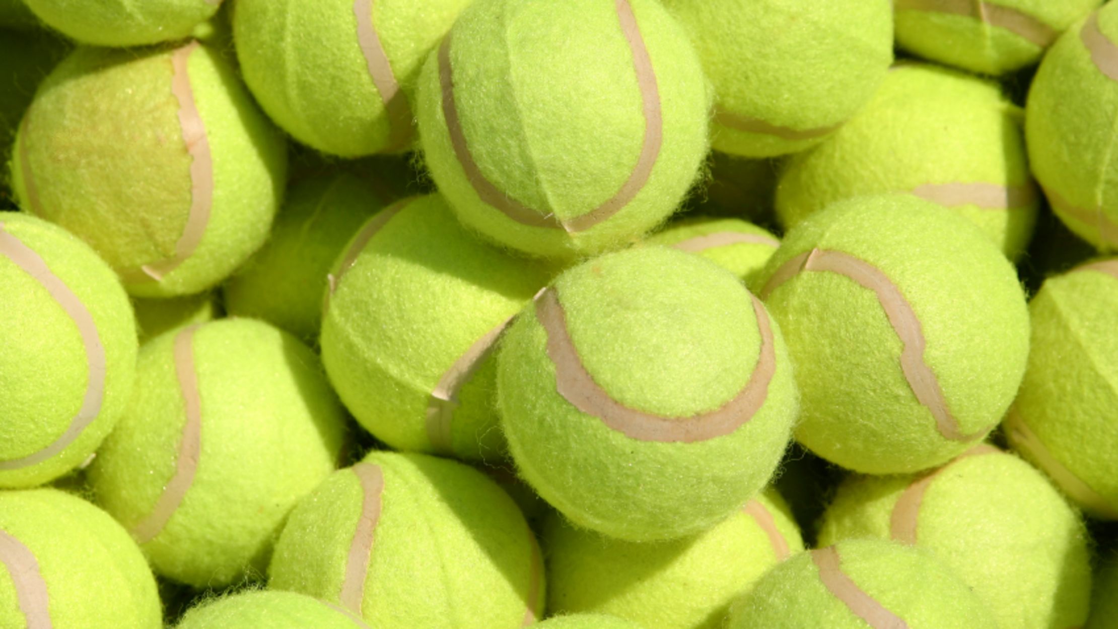 15 Fascinating Explanations for How Things Got Their Colors Mental Floss