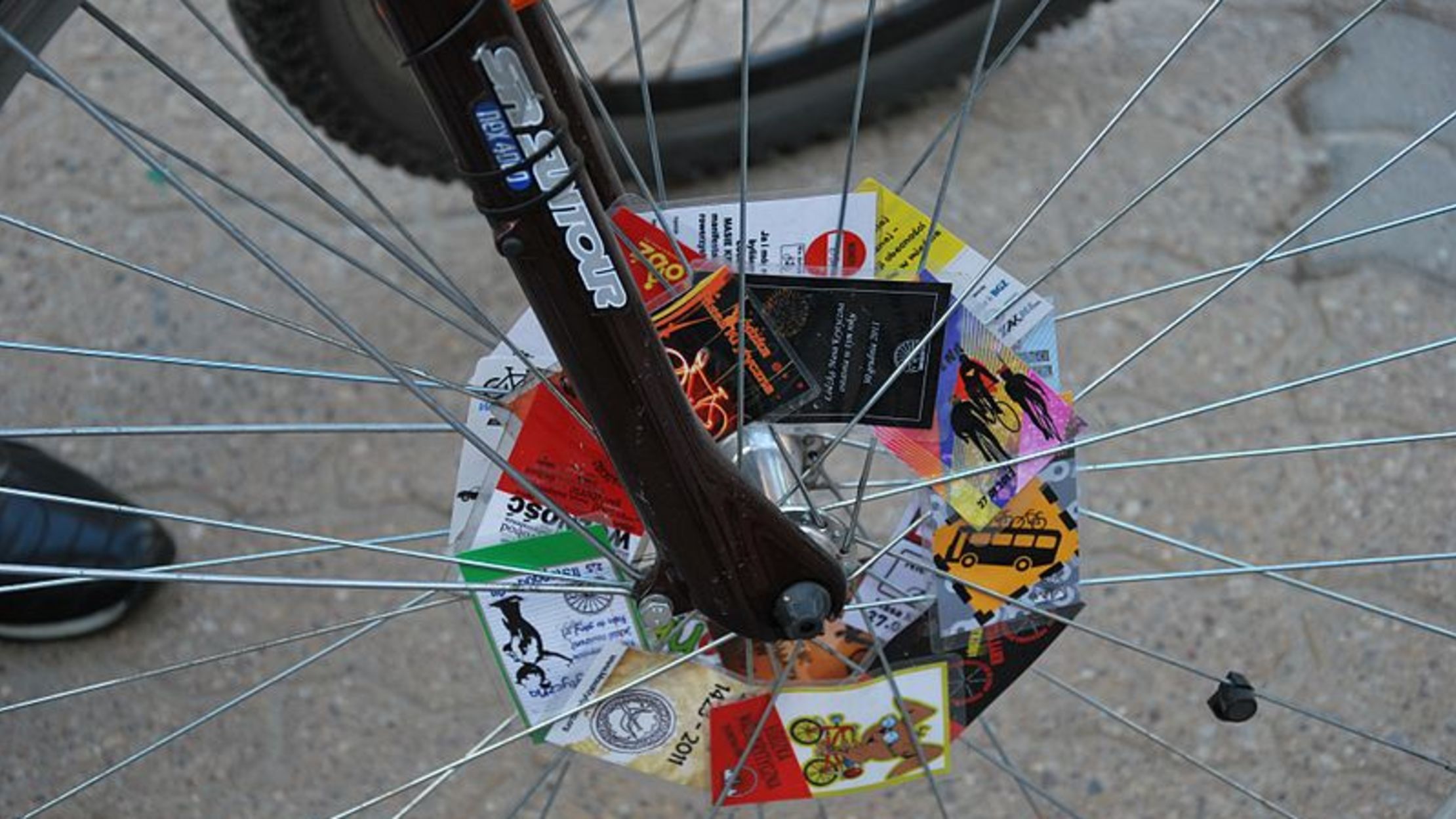 spokes of cycle