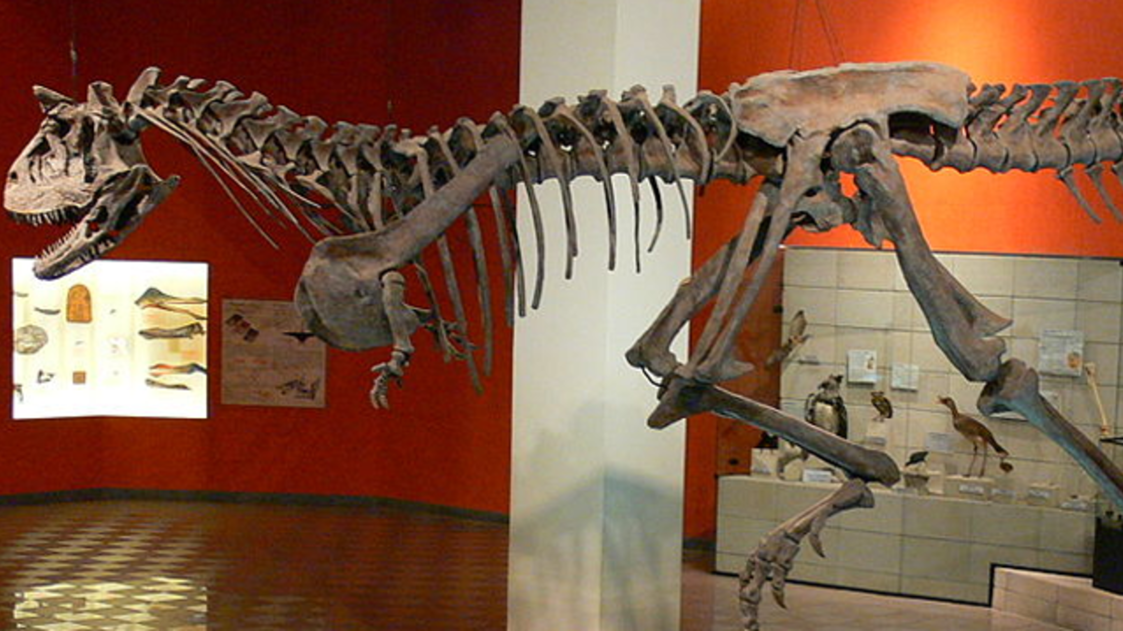 10 Horned Facts About Carnotaurus Mental Floss Soon, i'll be able to upload more videos to my channel and let everyone be. 10 horned facts about carnotaurus