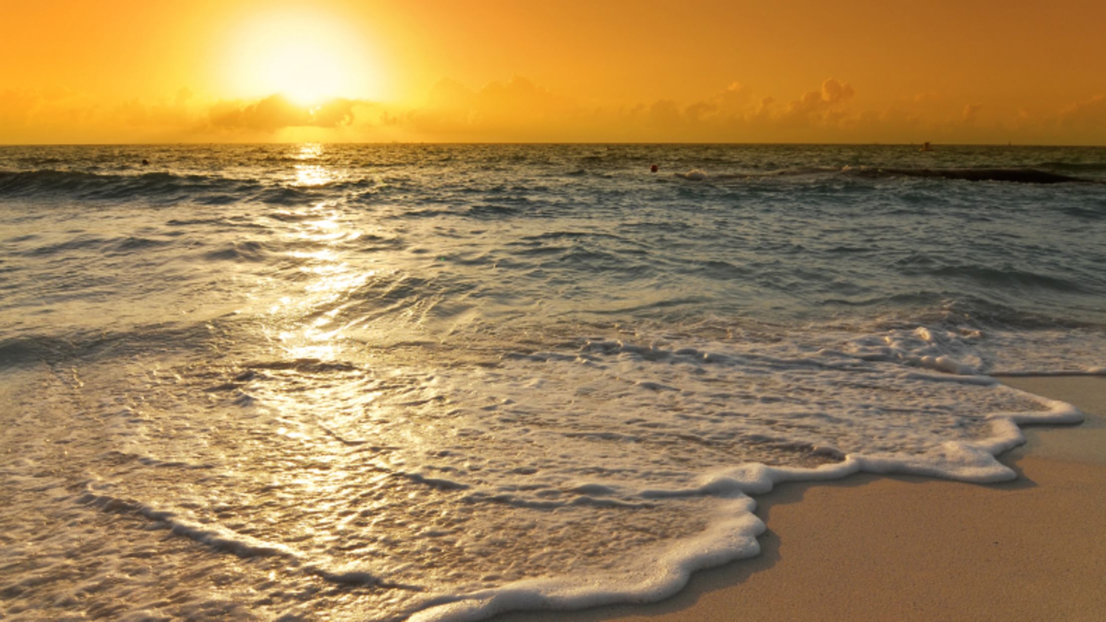 What's the Difference Between the Beach and the Shore ...