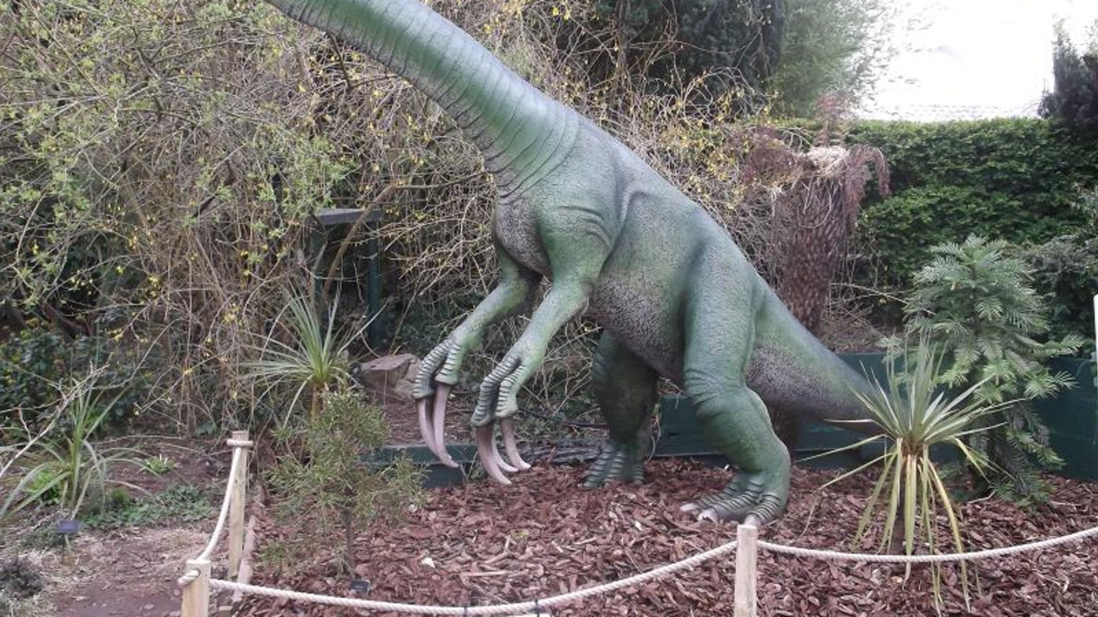 Терезина динозавр