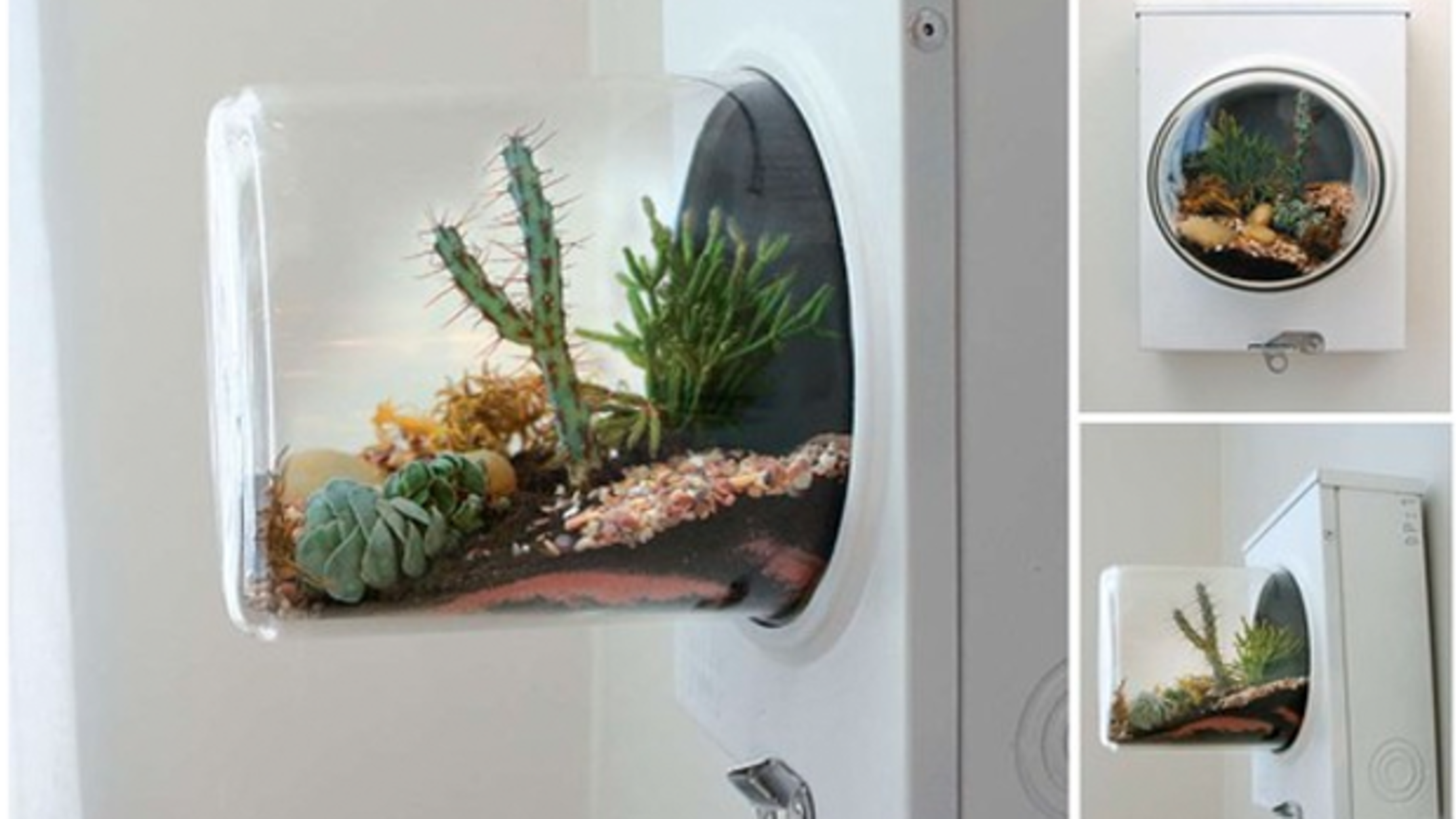 15 Lovely Terrariums That Would Liven Up Any Room Mental Floss