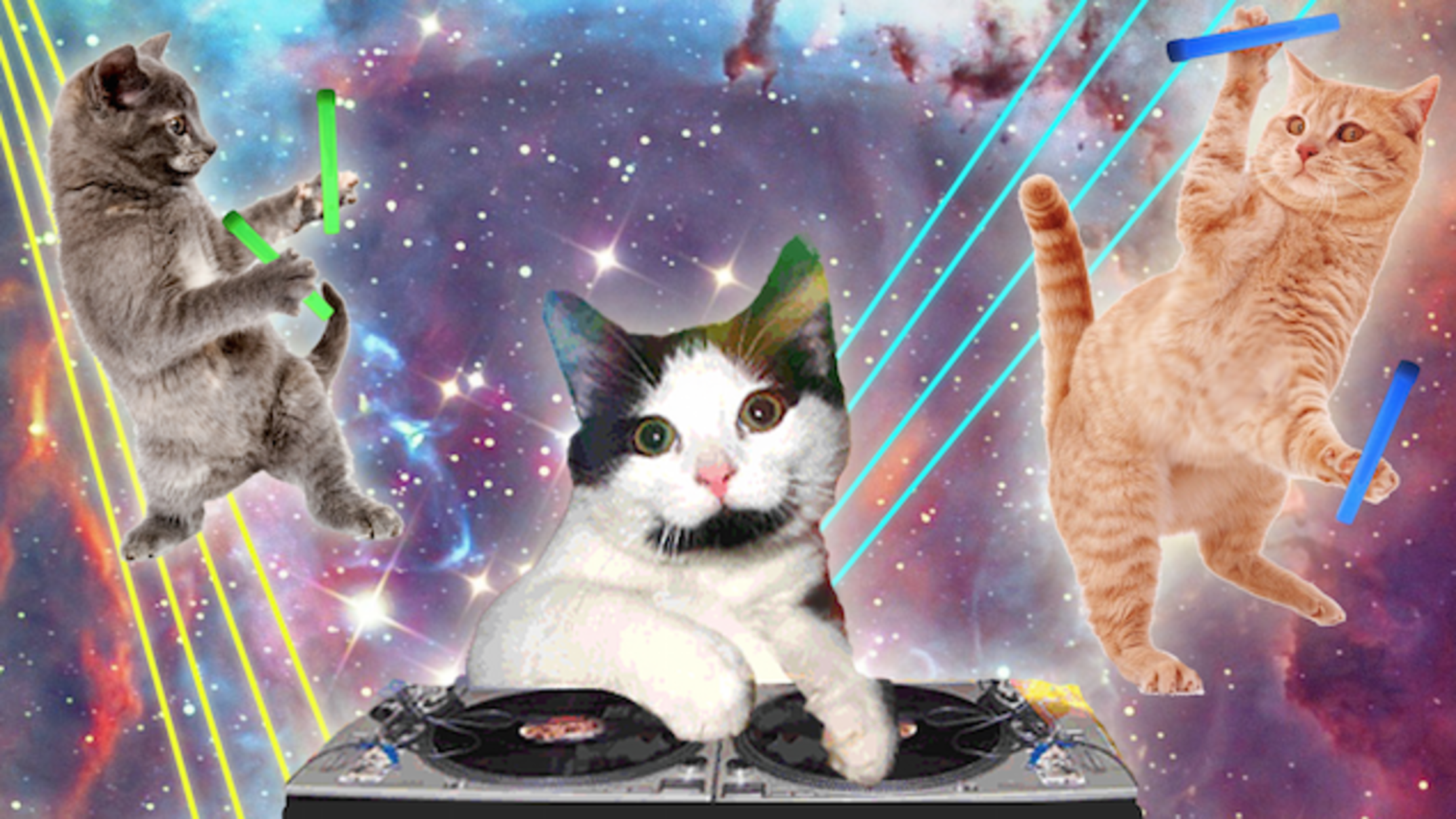 Great Ads For Cat Adoption During Adopt A Cat Month Mental Floss