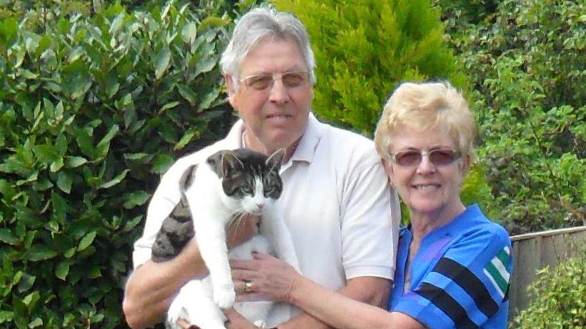9 Incredible Stories Of Lost And Found Cats Mental Floss