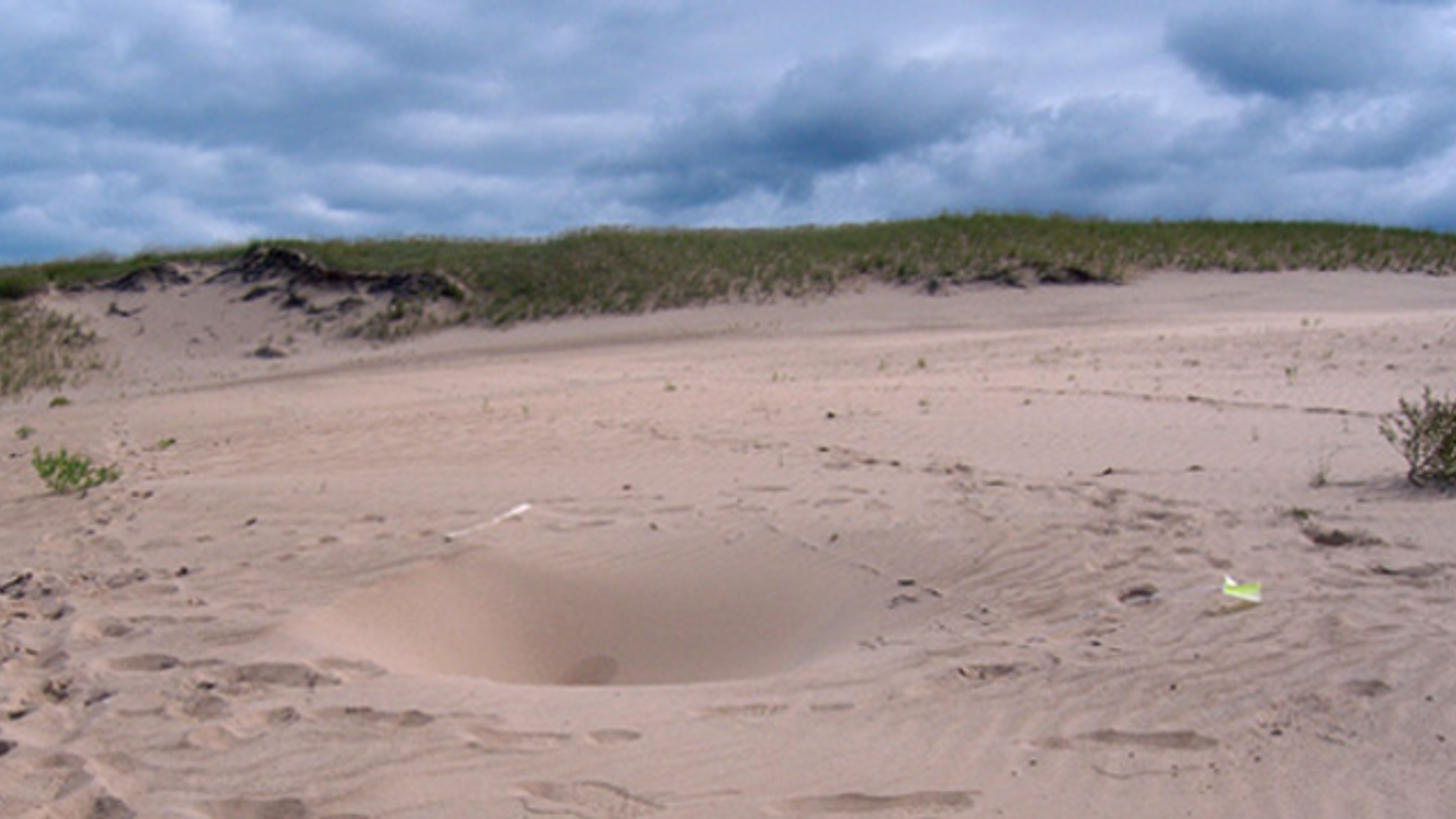What's Causing These Mysterious Holes in Indianaâ€™s Sand Dunes? | Mental