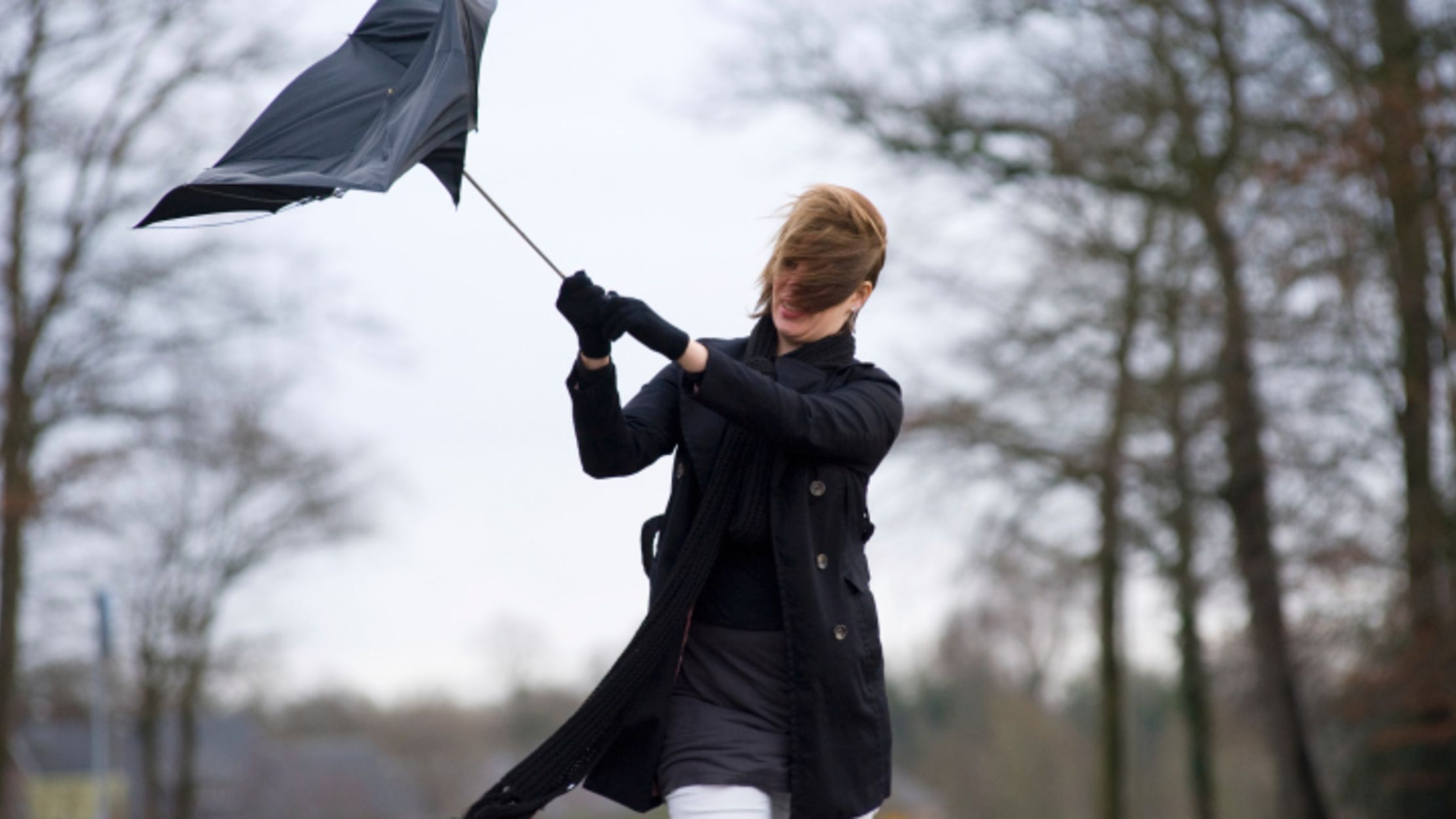 big weather umbrella big weather umbrella